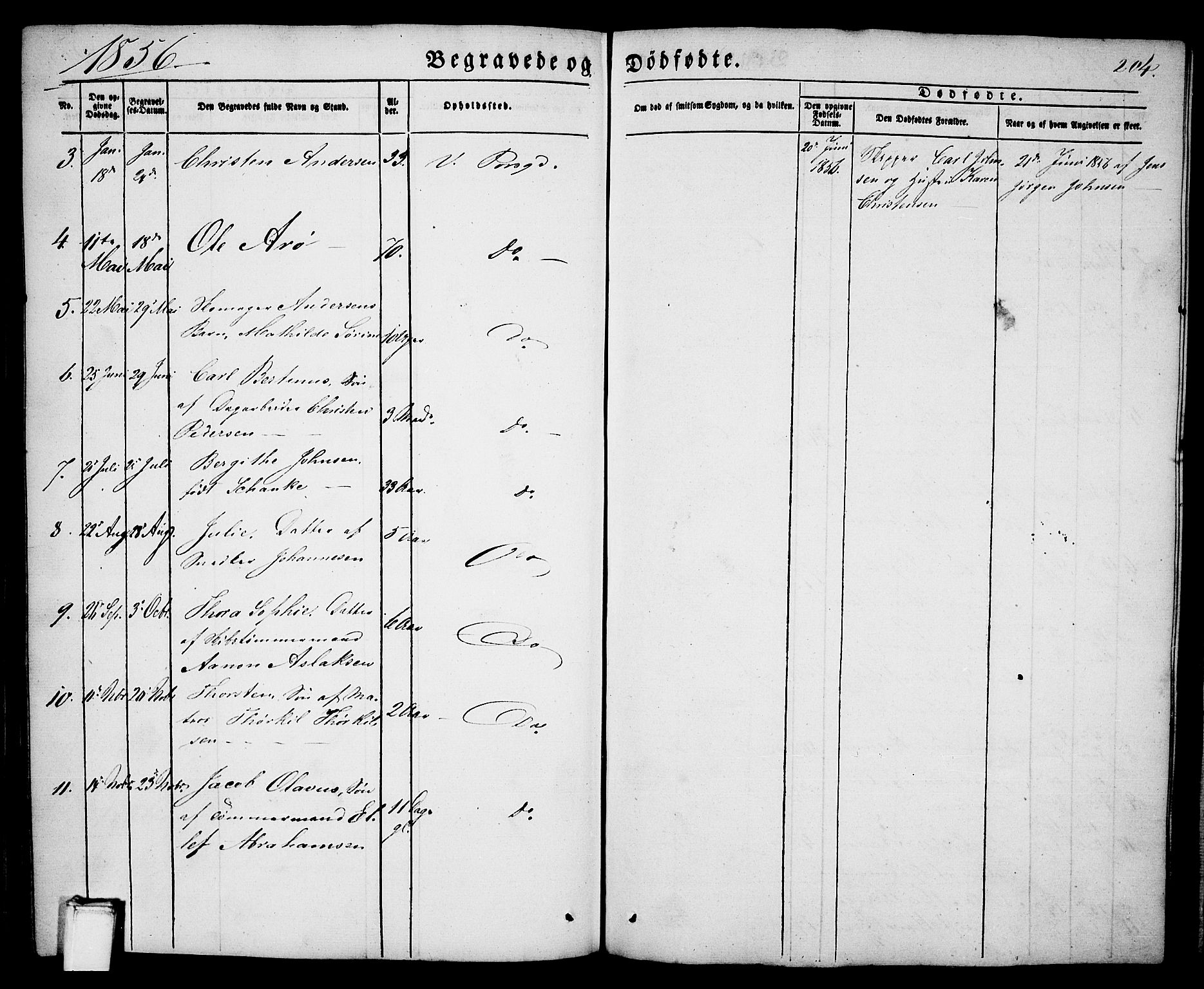 Porsgrunn kirkebøker , SAKO/A-104/G/Ga/L0002: Parish register (copy) no. I 2, 1847-1877, p. 204