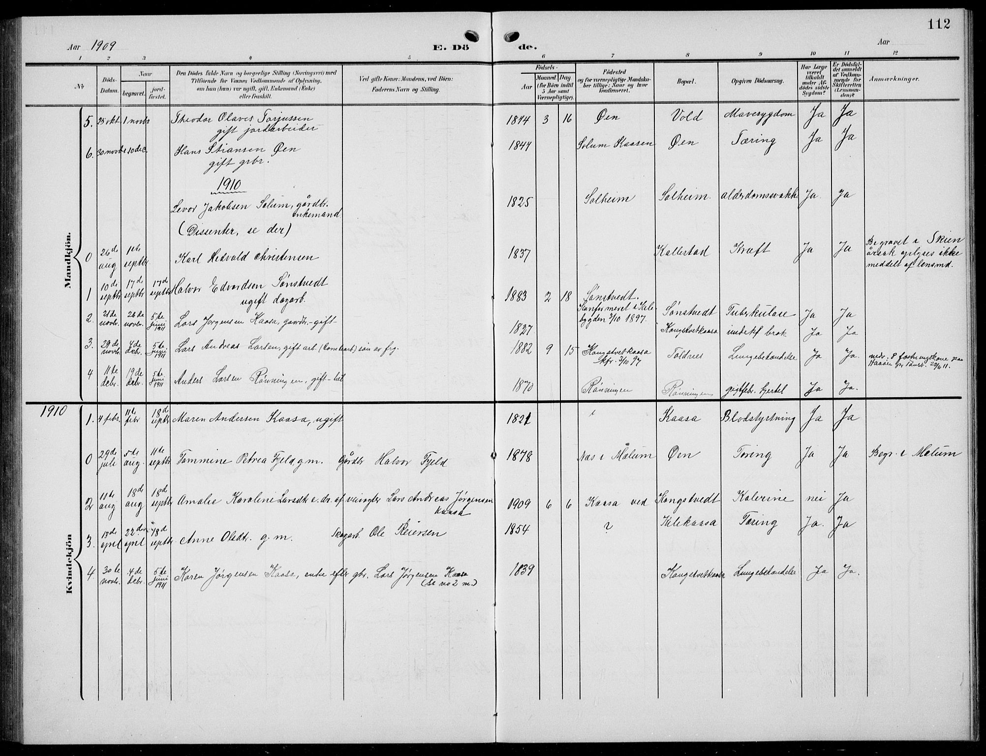 Solum kirkebøker, AV/SAKO-A-306/G/Gc/L0002: Parish register (copy) no. III 2, 1902-1934, p. 112