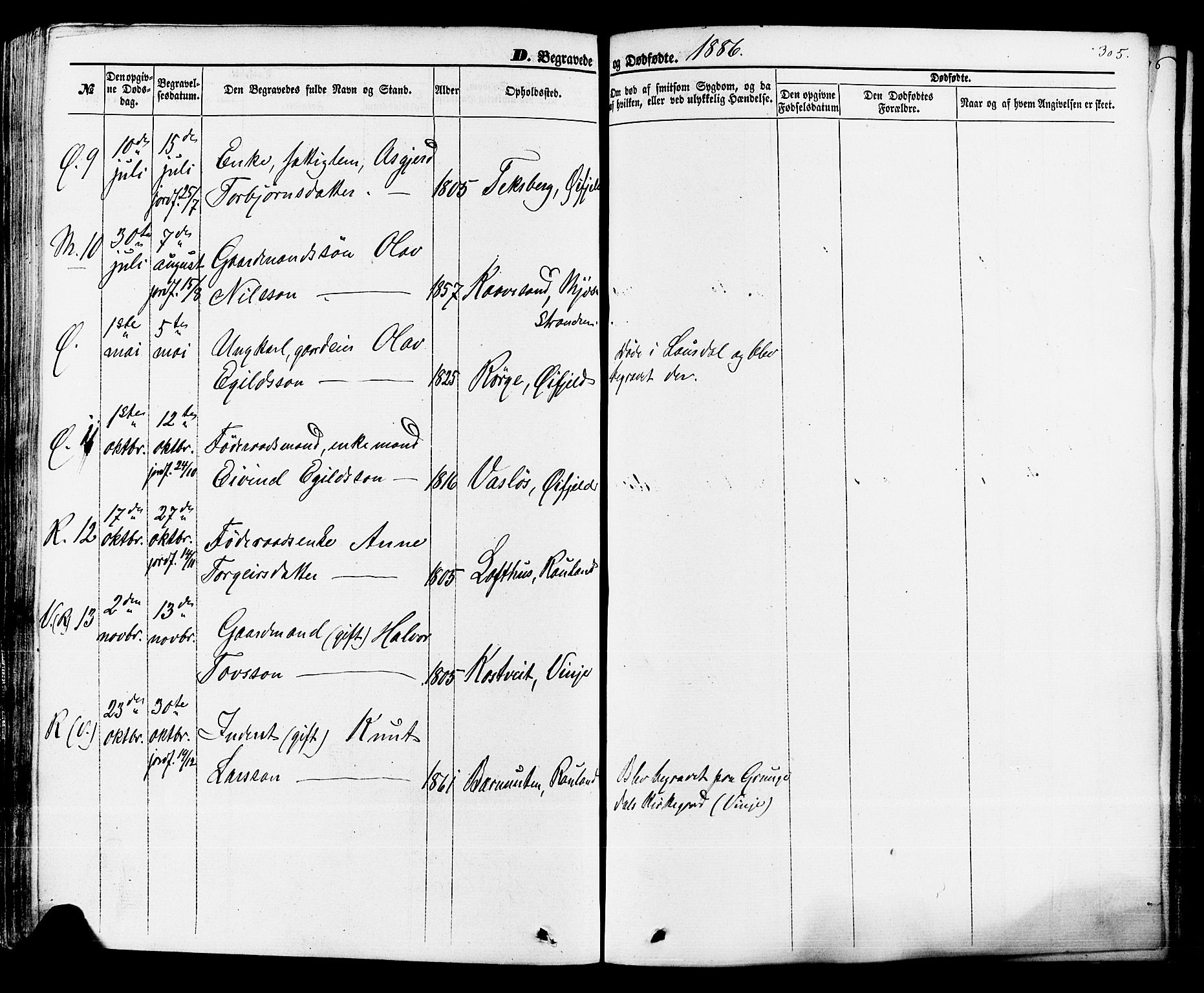 Rauland kirkebøker, AV/SAKO-A-292/F/Fa/L0003: Parish register (official) no. I 3, 1859-1886, p. 305