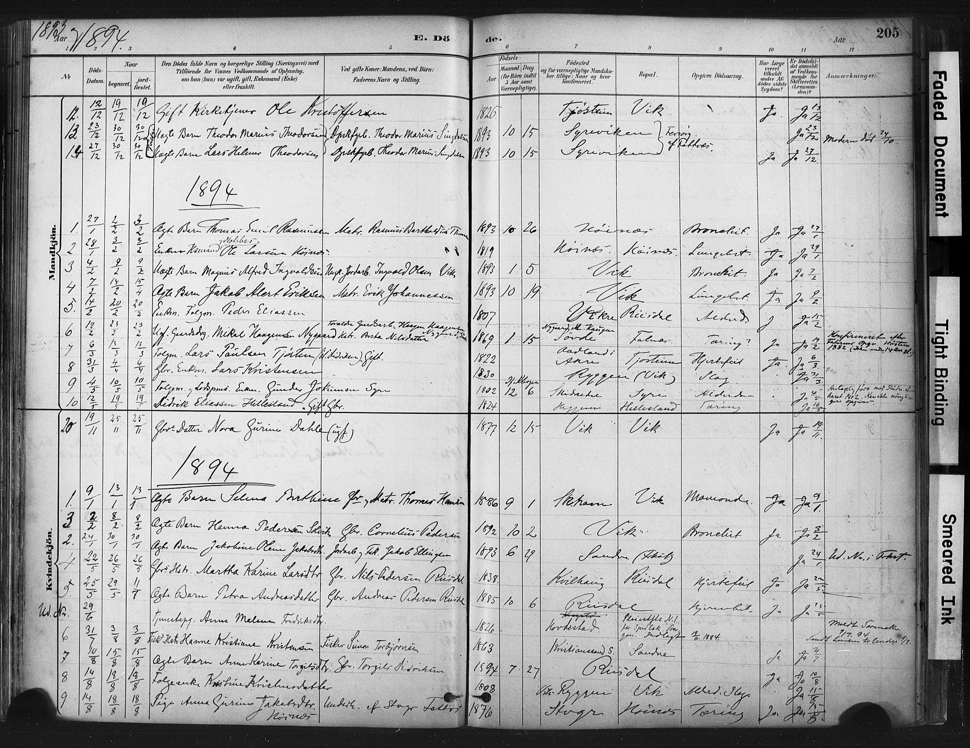 Skudenes sokneprestkontor, SAST/A -101849/H/Ha/Haa/L0009: Parish register (official) no. A 6, 1882-1912, p. 205