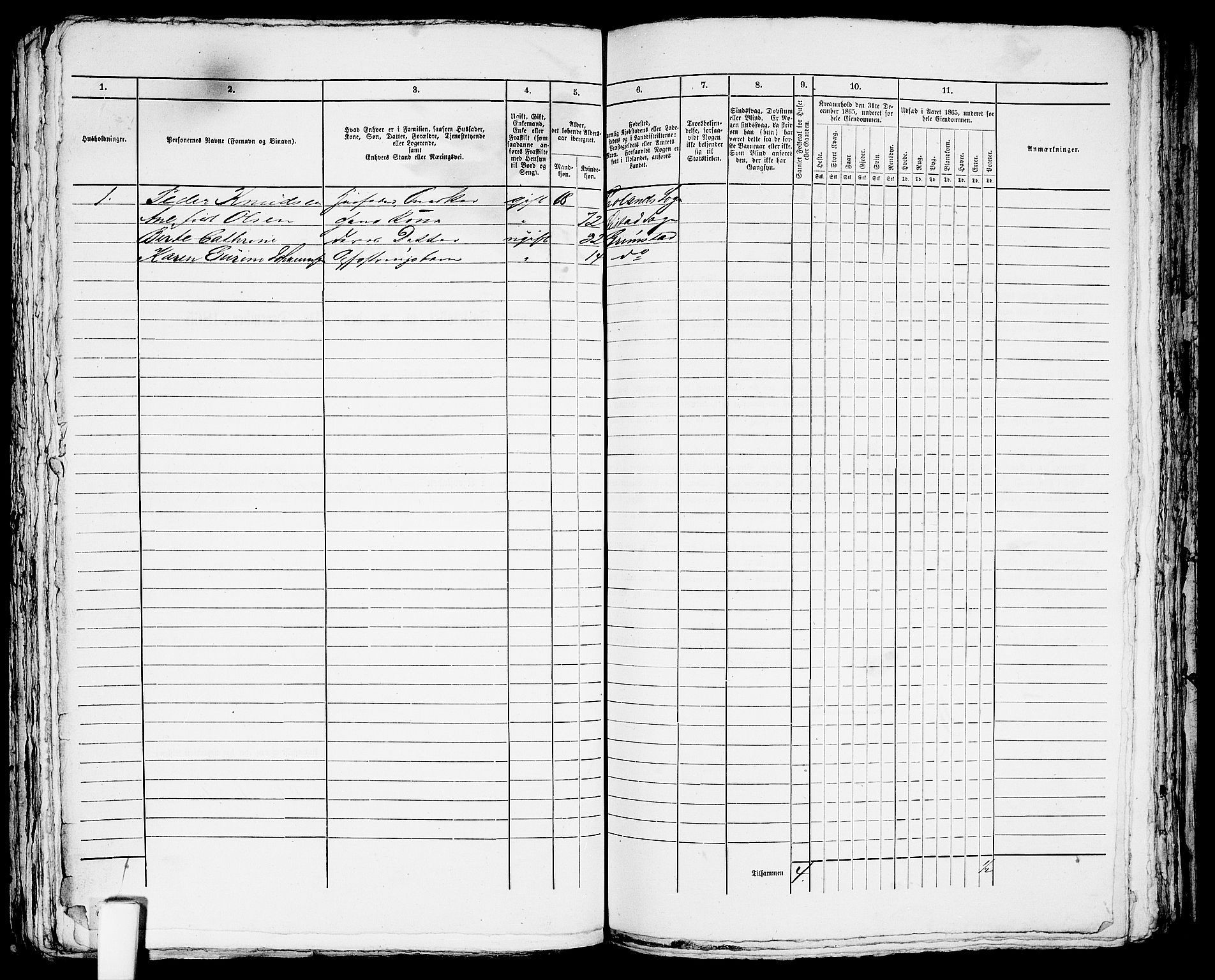 RA, 1865 census for Fjære/Grimstad, 1865, p. 246