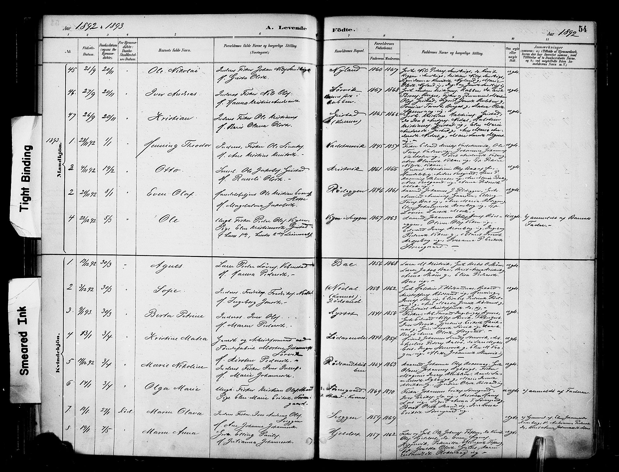 Ministerialprotokoller, klokkerbøker og fødselsregistre - Møre og Romsdal, SAT/A-1454/569/L0819: Parish register (official) no. 569A05, 1885-1899, p. 54