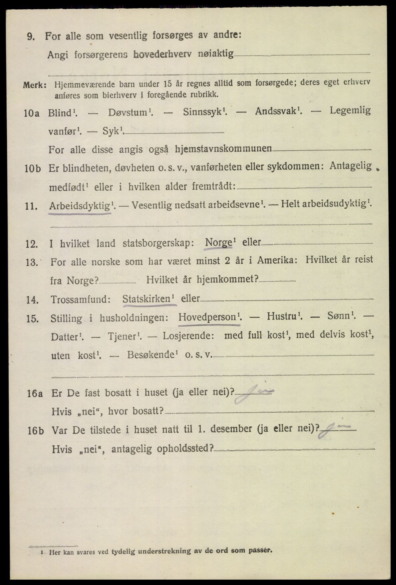 SAH, 1920 census for Dovre, 1920, p. 3999