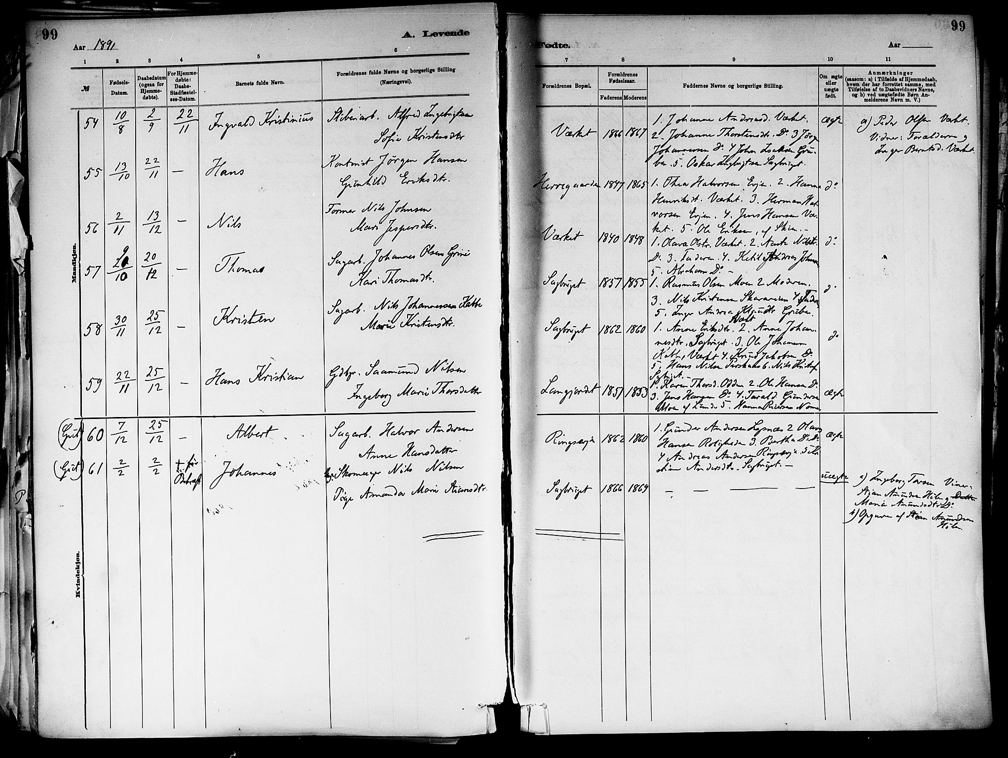 Holla kirkebøker, SAKO/A-272/F/Fa/L0008: Parish register (official) no. 8, 1882-1897, p. 99