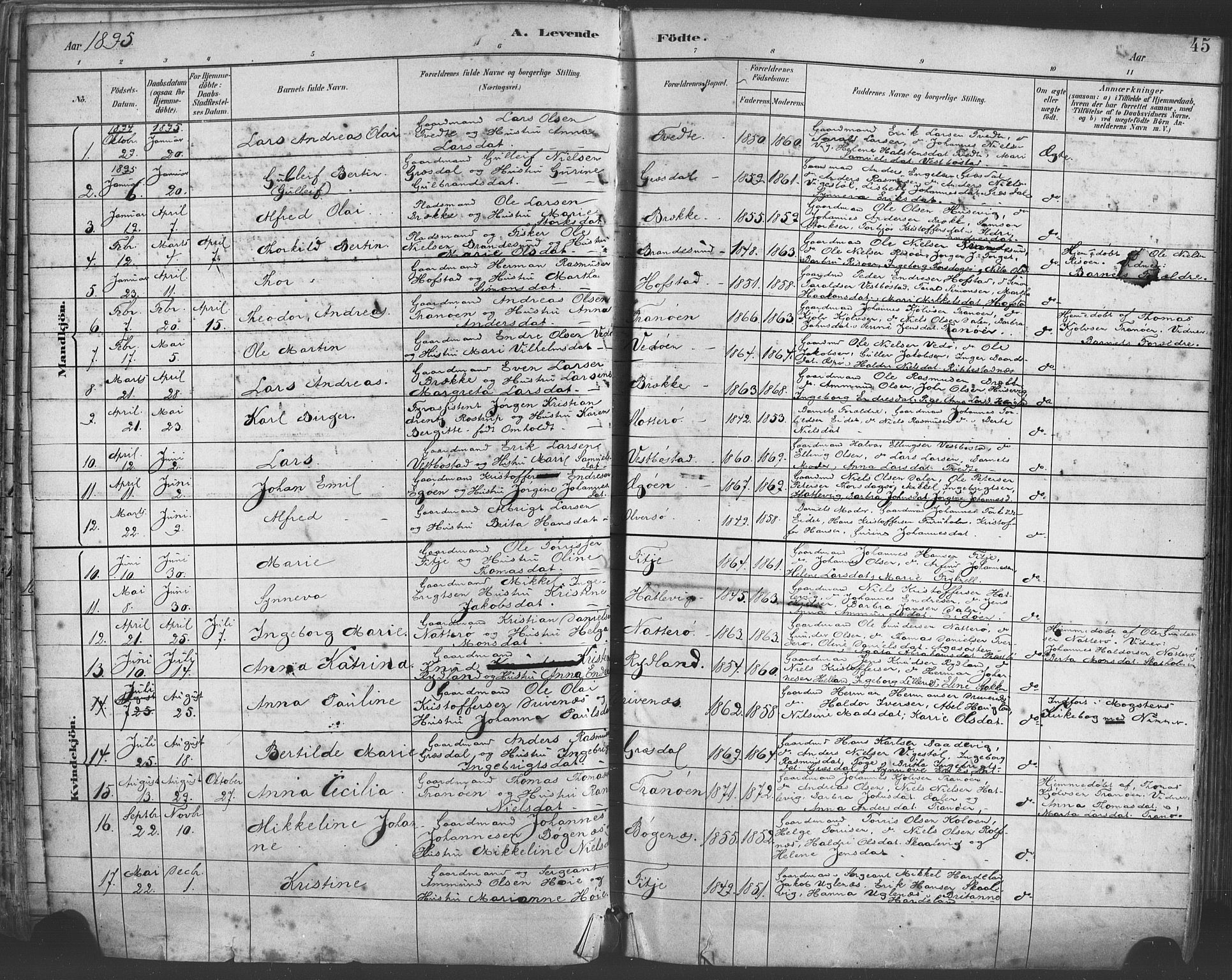 Fitjar sokneprestembete, SAB/A-99926: Parish register (official) no. A 2, 1882-1899, p. 45