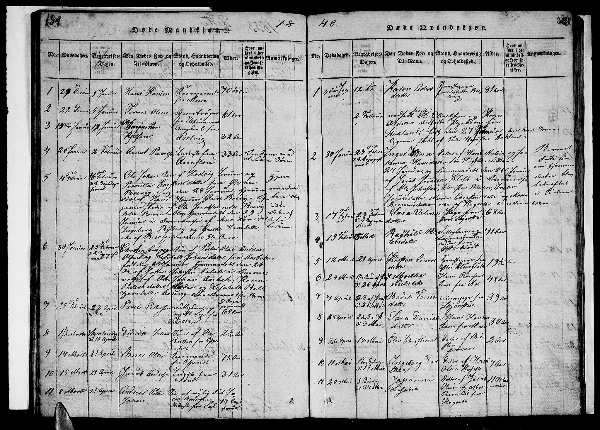 Ministerialprotokoller, klokkerbøker og fødselsregistre - Nordland, SAT/A-1459/852/L0752: Parish register (copy) no. 852C03, 1840-1855, p. 184-185