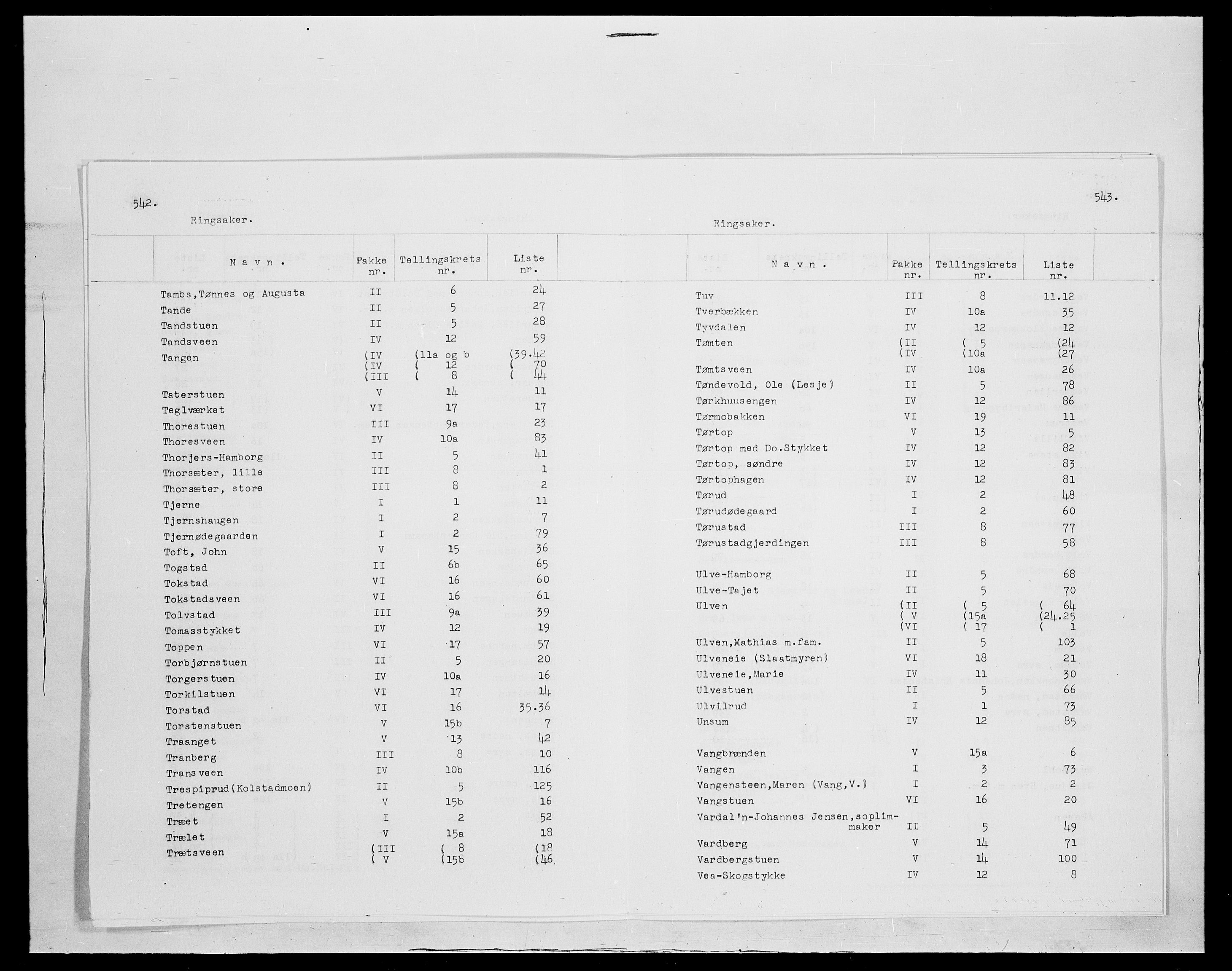 SAH, 1875 census for 0412P Ringsaker, 1875, p. 25