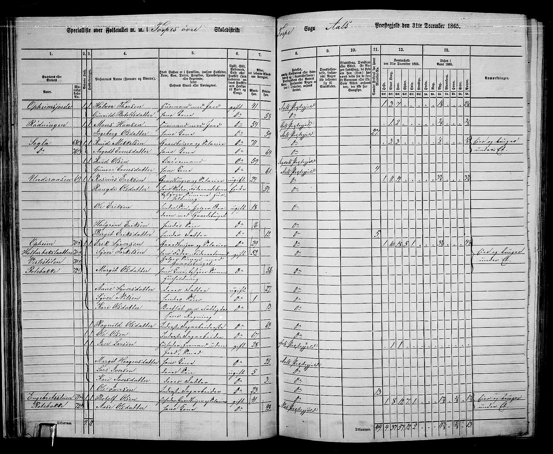 RA, 1865 census for Ål, 1865, p. 49