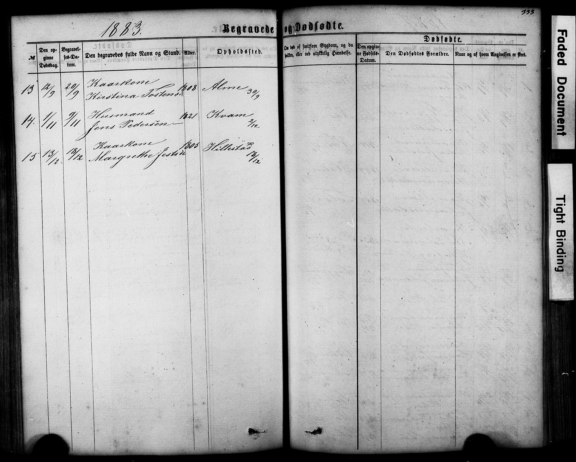 Hafslo sokneprestembete, SAB/A-80301/H/Hab/Haba/L0001: Parish register (copy) no. A 1, 1866-1908, p. 333