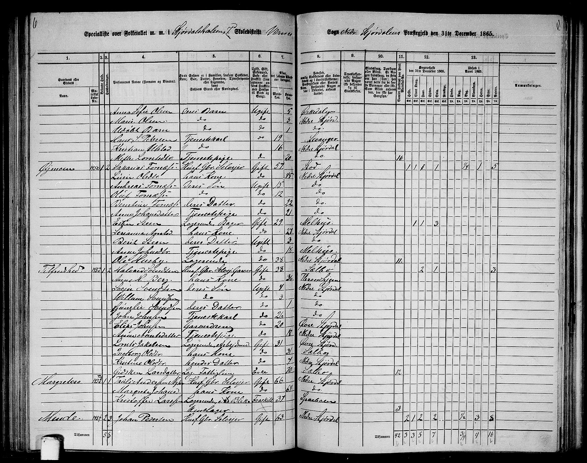 RA, 1865 census for Nedre Stjørdal, 1865, p. 170