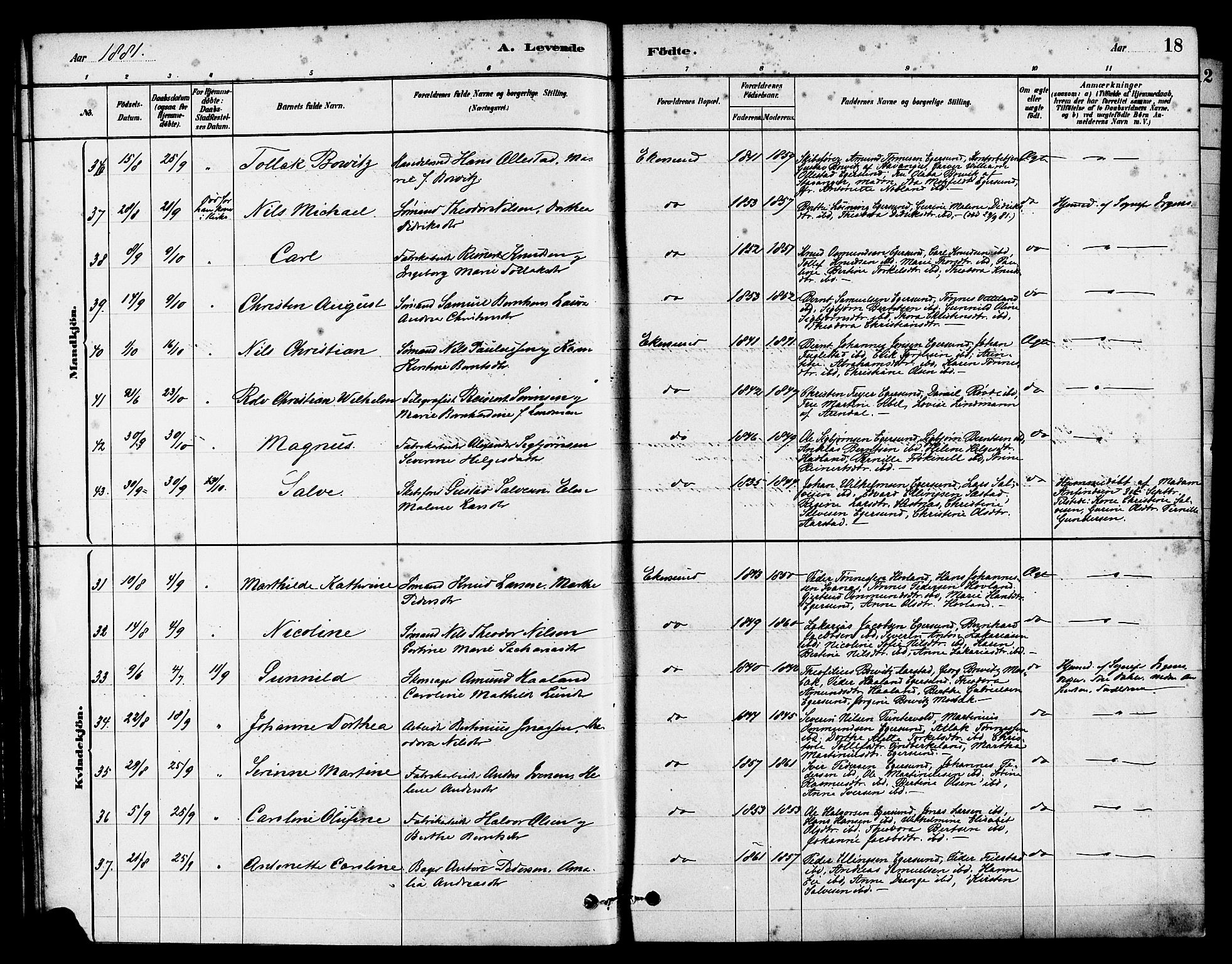 Eigersund sokneprestkontor, AV/SAST-A-101807/001/30/30BA/L0015: Parish register (official) no. A 15, 1879-1892, p. 18