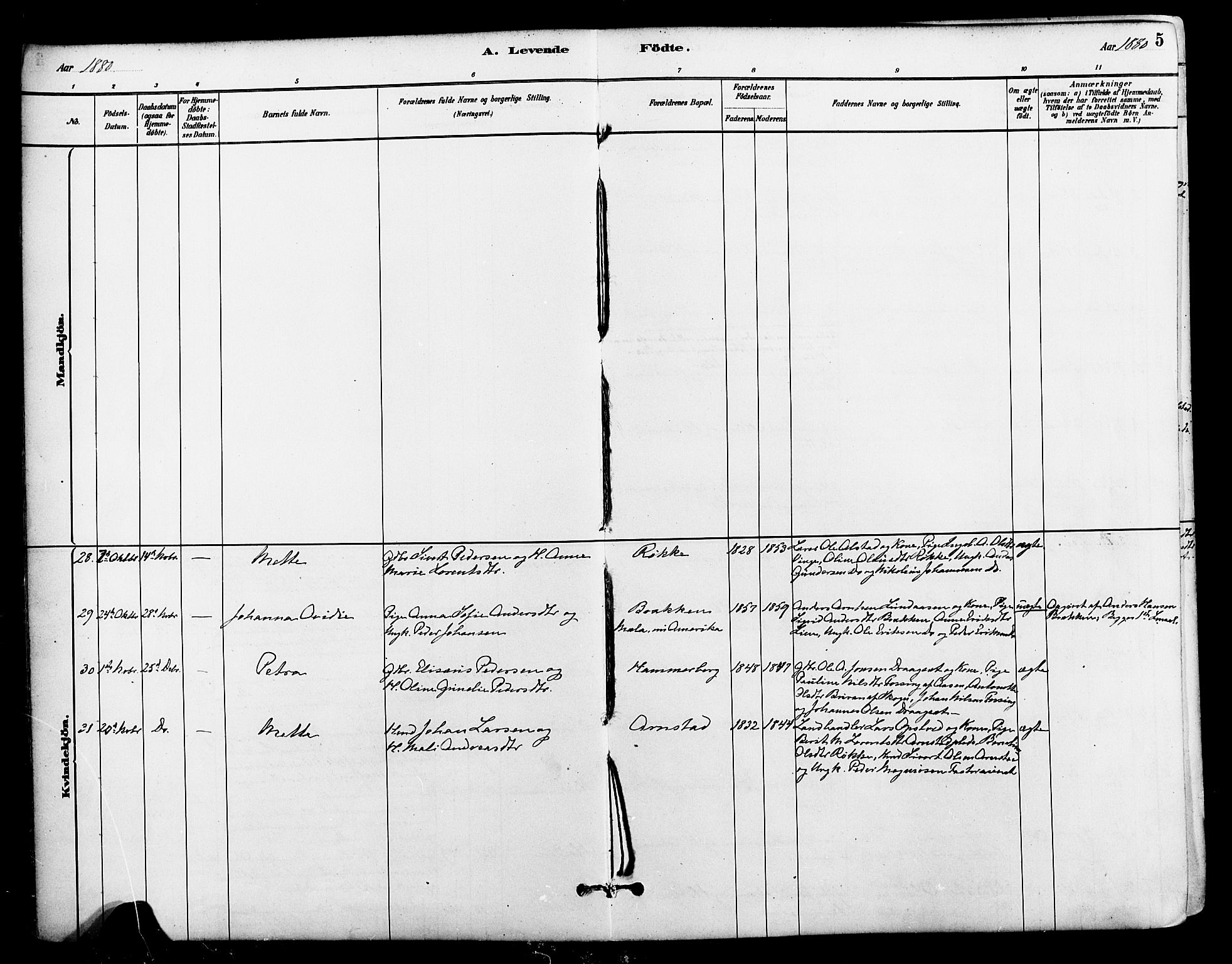 Ministerialprotokoller, klokkerbøker og fødselsregistre - Nord-Trøndelag, SAT/A-1458/712/L0100: Parish register (official) no. 712A01, 1880-1900, p. 5