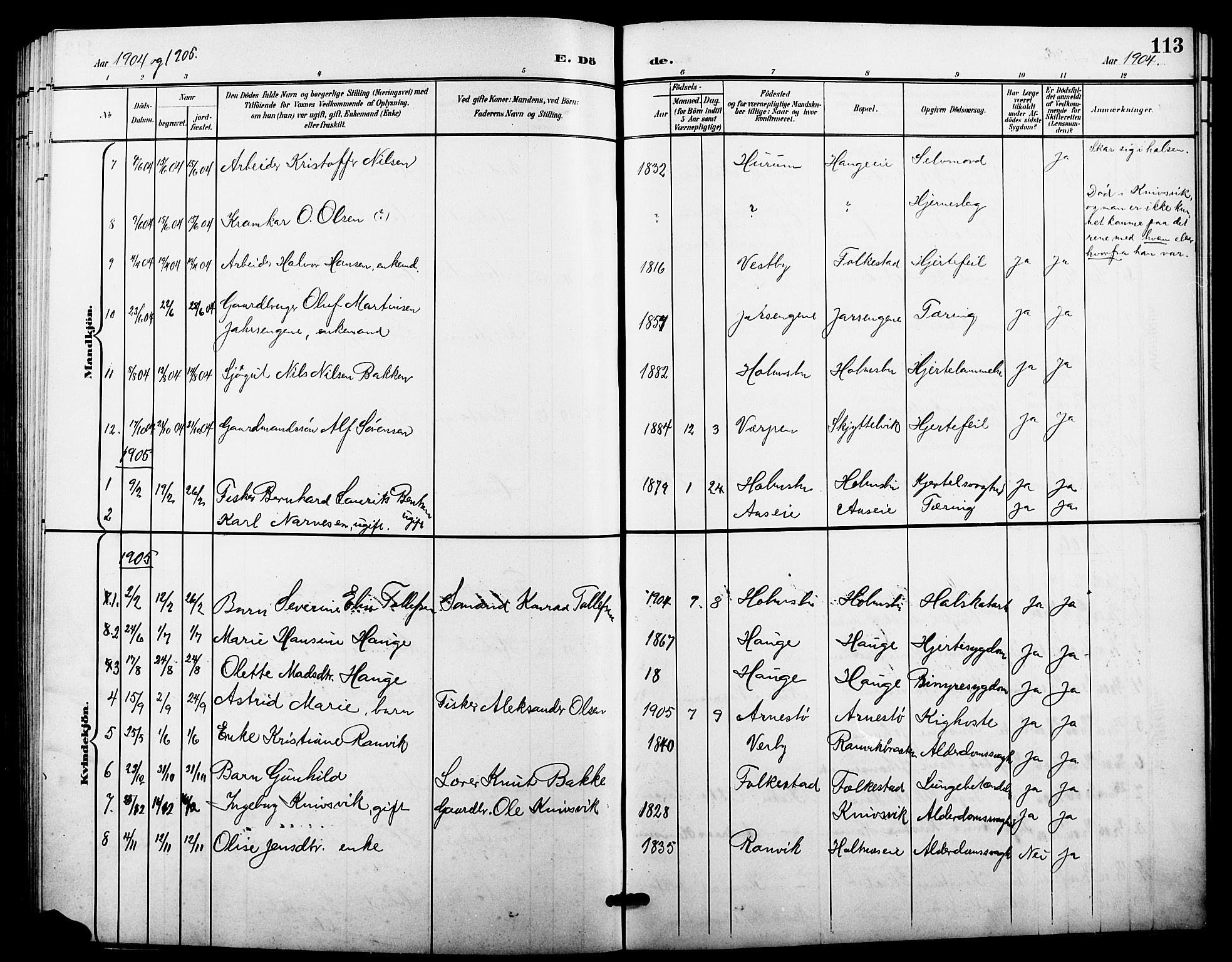 Hurum kirkebøker, AV/SAKO-A-229/G/Gc/L0001: Parish register (copy) no. III 1, 1901-1925, p. 113