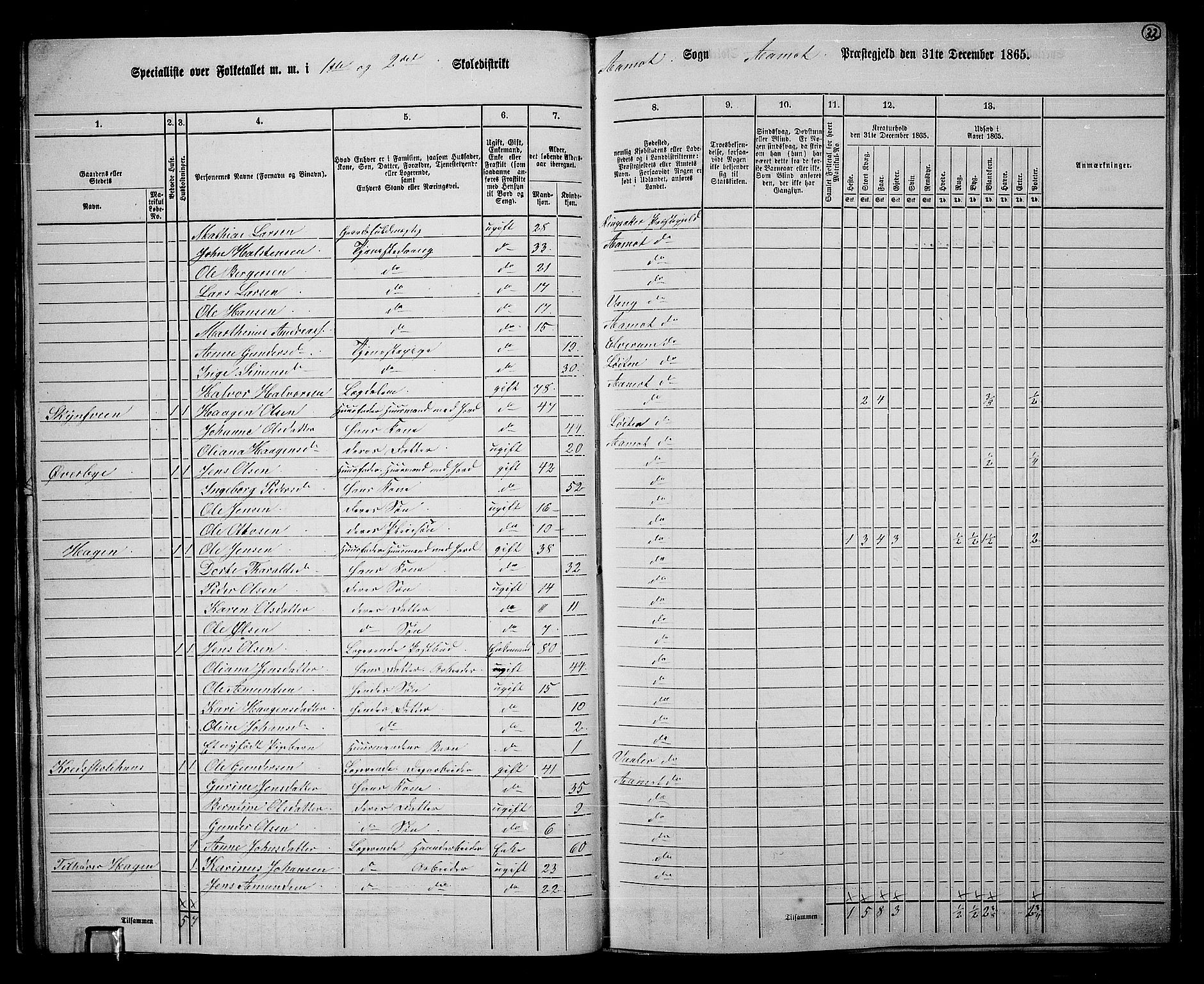 RA, 1865 census for Åmot, 1865, p. 30