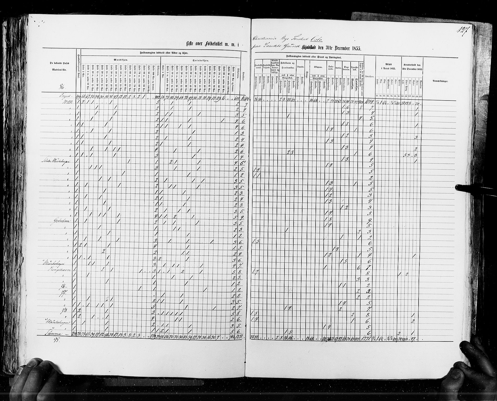 RA, Census 1855, vol. 7: Fredrikshald-Kragerø, 1855, p. 127