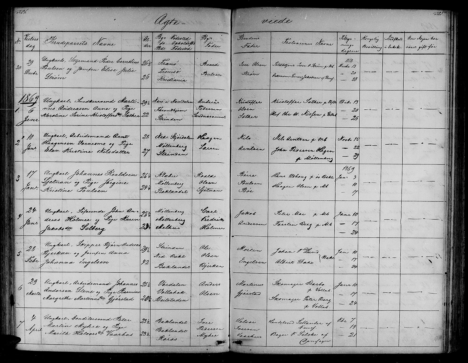 Ministerialprotokoller, klokkerbøker og fødselsregistre - Sør-Trøndelag, SAT/A-1456/604/L0219: Parish register (copy) no. 604C02, 1851-1869, p. 324-325