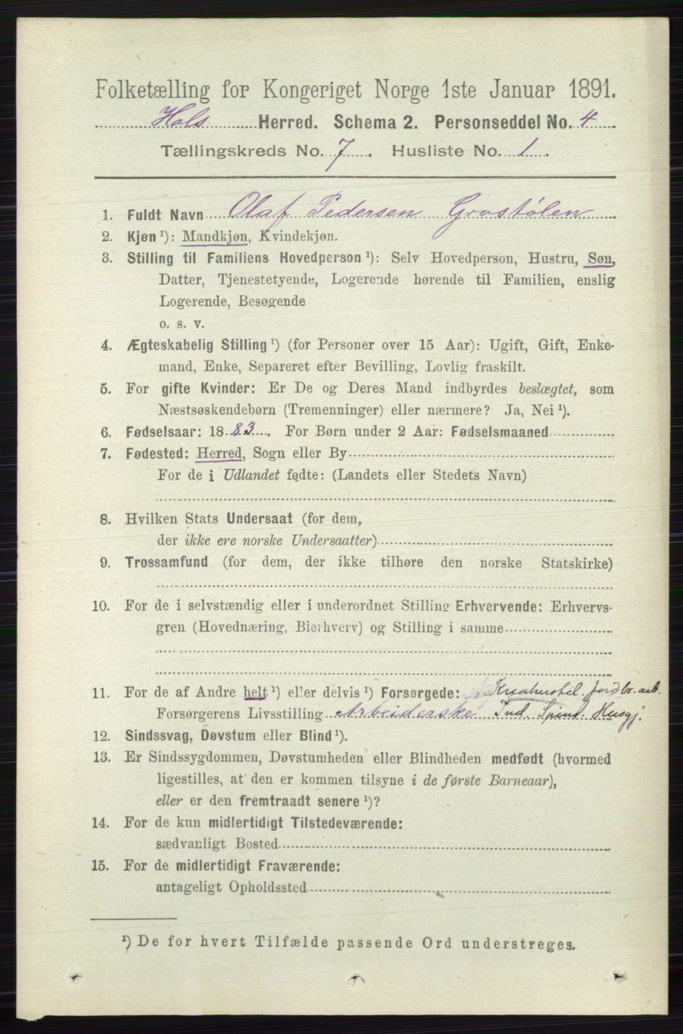 RA, 1891 census for 0620 Hol, 1891, p. 2018