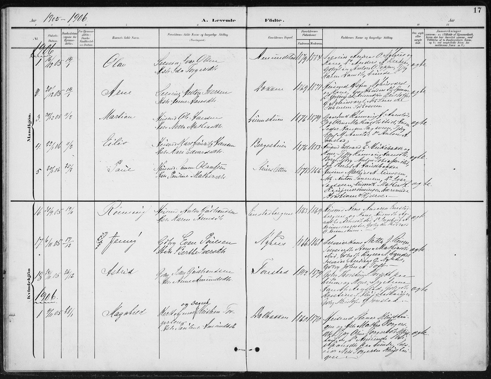 Østre Gausdal prestekontor, SAH/PREST-092/H/Ha/Haa/L0005: Parish register (official) no. 5, 1902-1920, p. 17