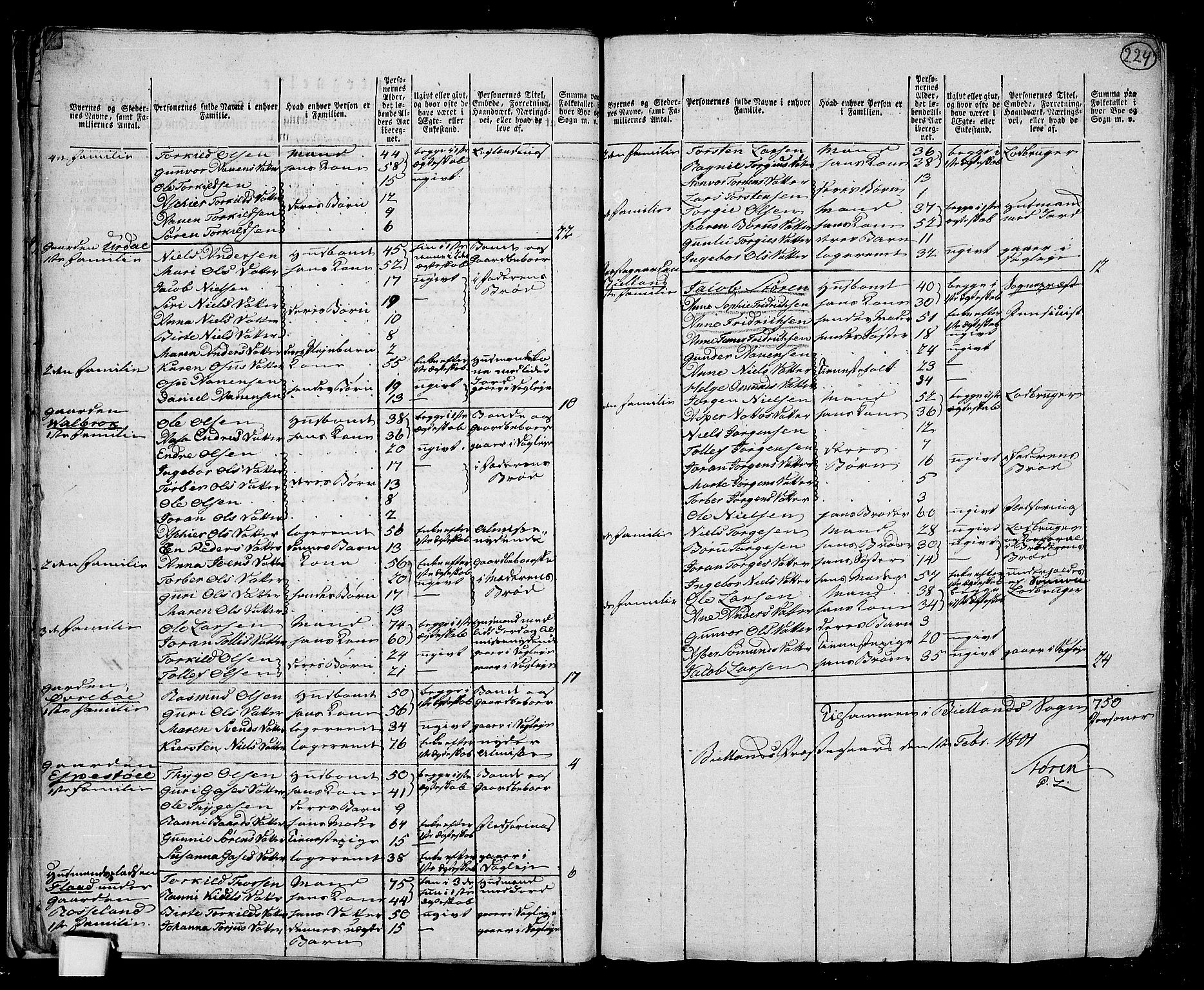 RA, 1801 census for 1024P Bjelland, 1801, p. 223b-224a