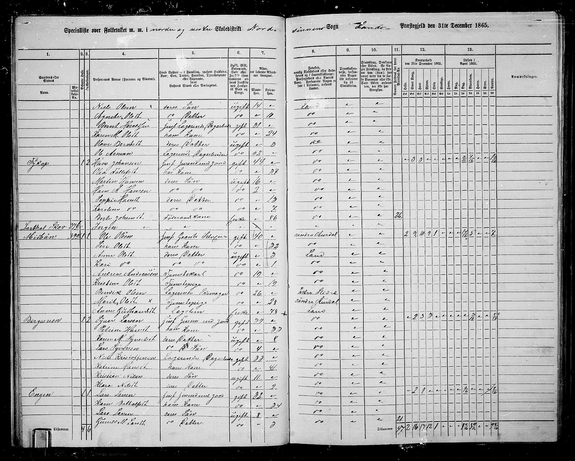 RA, 1865 census for Land, 1865, p. 33