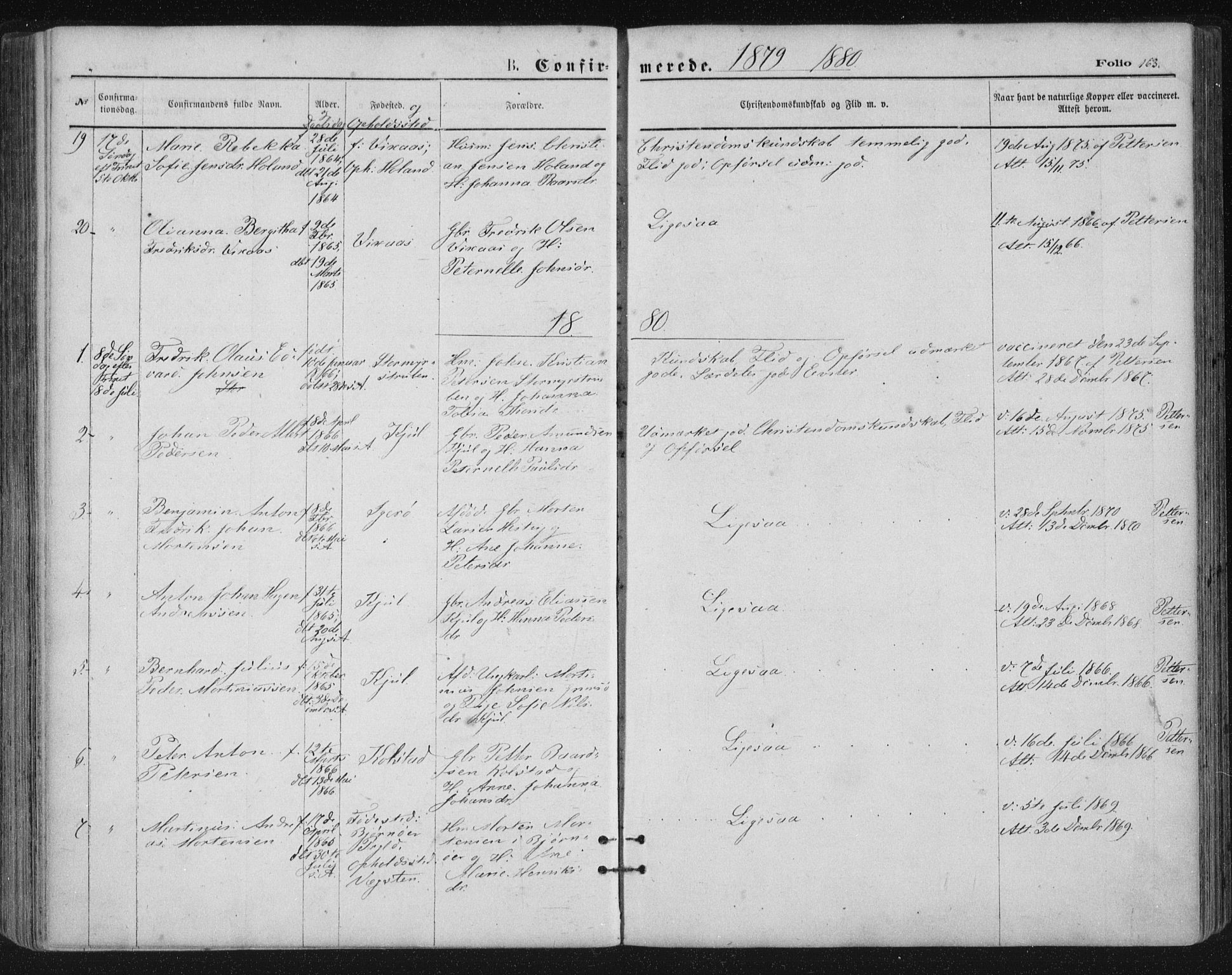 Ministerialprotokoller, klokkerbøker og fødselsregistre - Nordland, SAT/A-1459/816/L0241: Parish register (official) no. 816A07, 1870-1885, p. 163