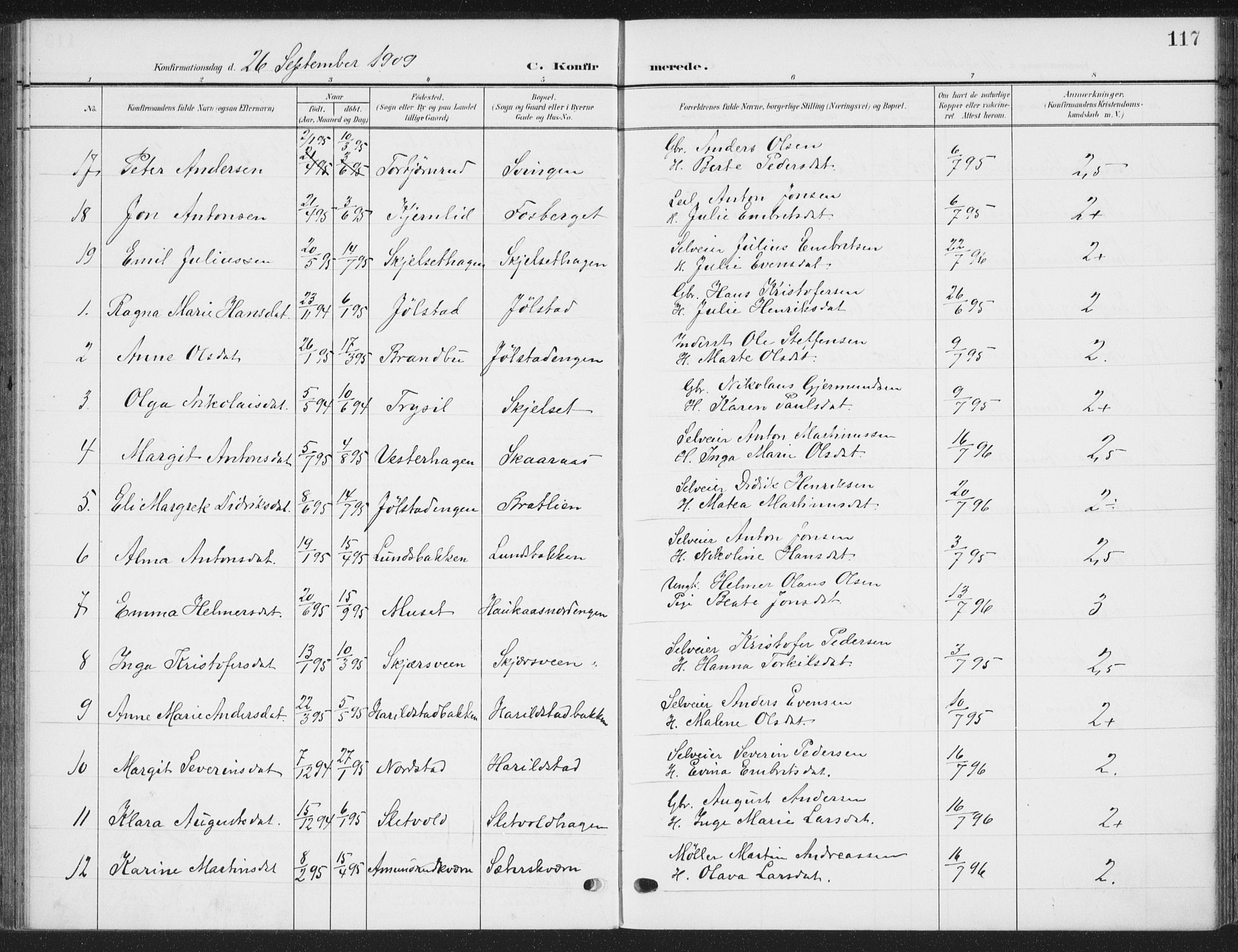 Romedal prestekontor, AV/SAH-PREST-004/K/L0009: Parish register (official) no. 9, 1906-1929, p. 117