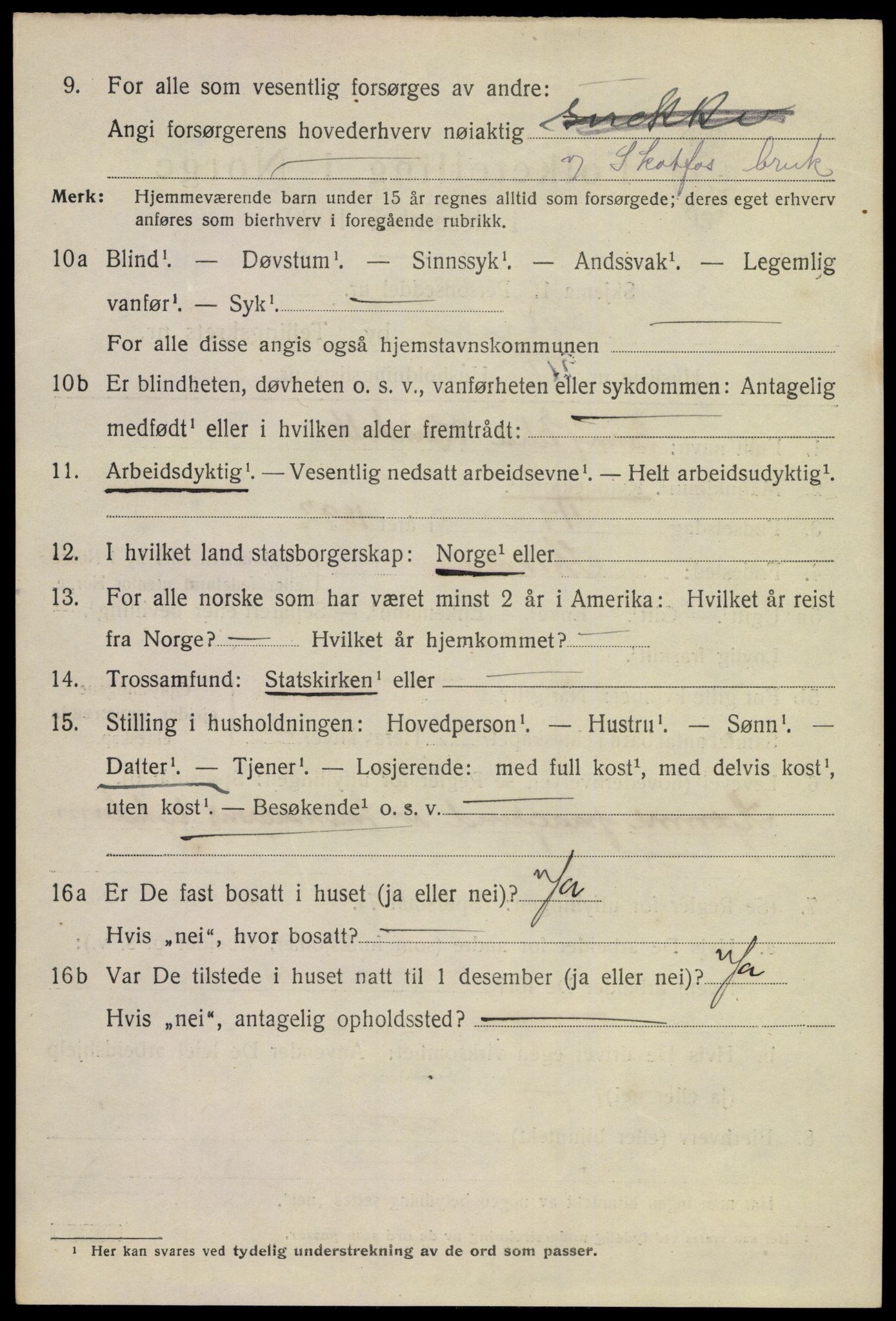 SAKO, 1920 census for Skien, 1920, p. 18001