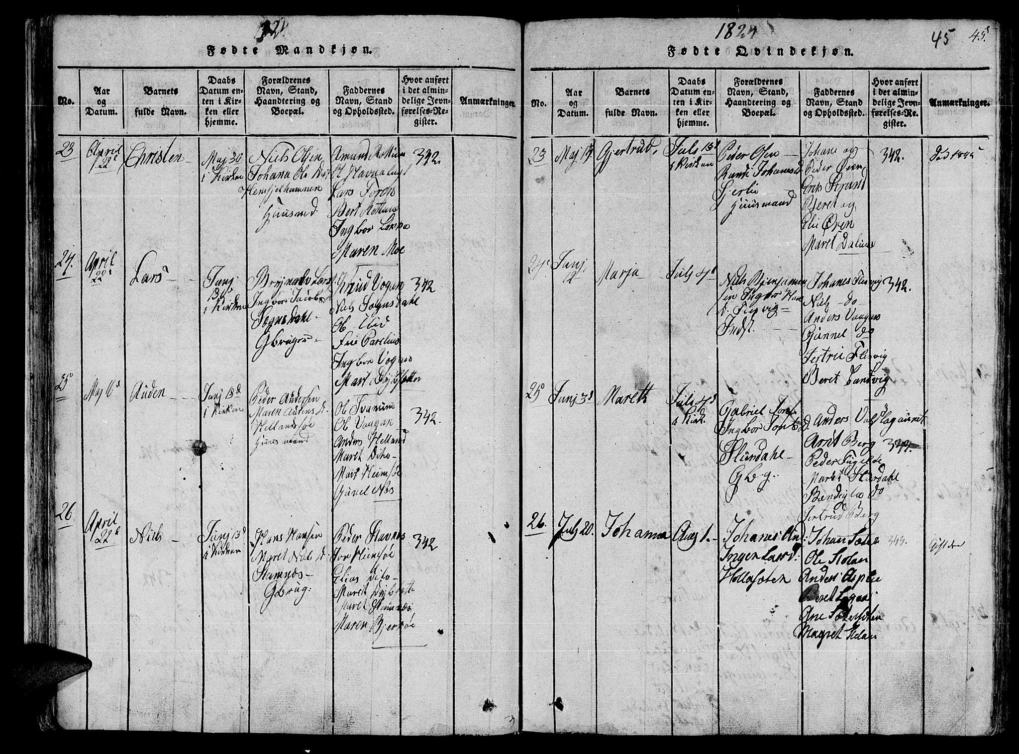 Ministerialprotokoller, klokkerbøker og fødselsregistre - Sør-Trøndelag, AV/SAT-A-1456/630/L0491: Parish register (official) no. 630A04, 1818-1830, p. 45