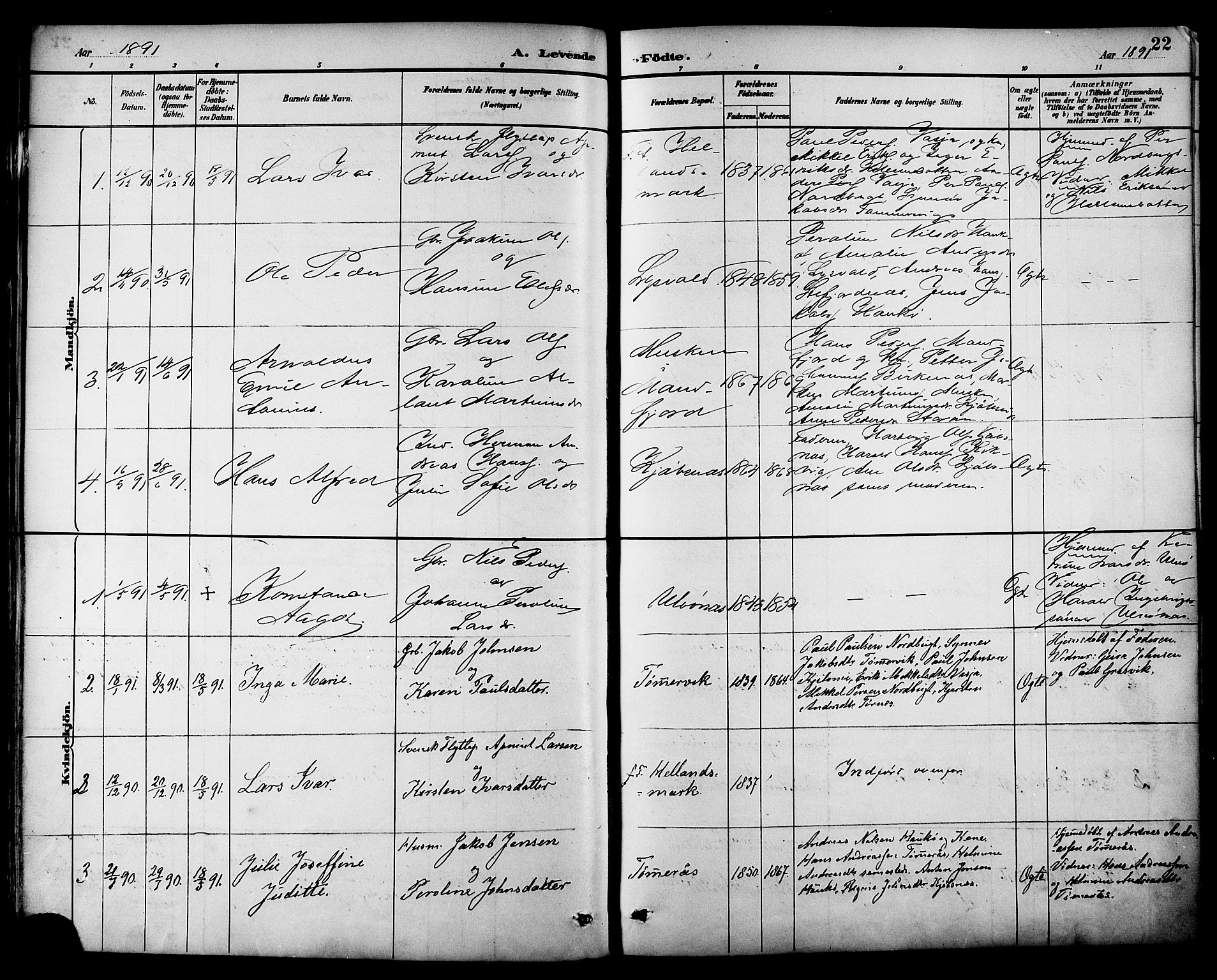 Ministerialprotokoller, klokkerbøker og fødselsregistre - Nordland, AV/SAT-A-1459/861/L0869: Parish register (official) no. 861A04, 1889-1903, p. 22