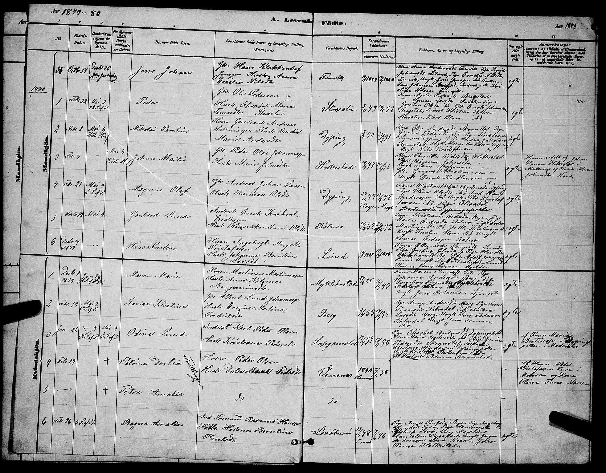 Ministerialprotokoller, klokkerbøker og fødselsregistre - Nordland, AV/SAT-A-1459/855/L0816: Parish register (copy) no. 855C05, 1879-1894, p. 6