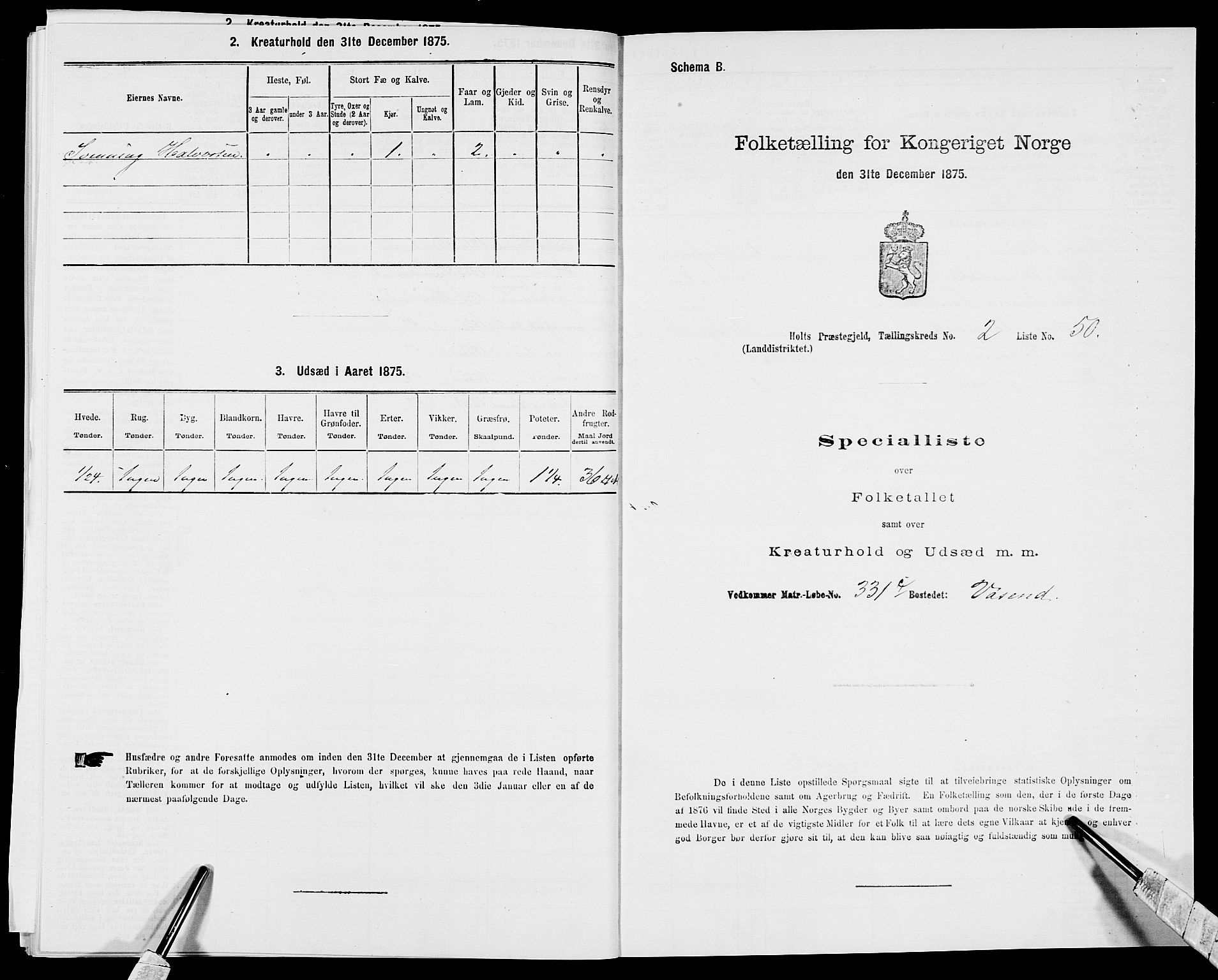 SAK, 1875 census for 0914L Holt/Holt, 1875, p. 293