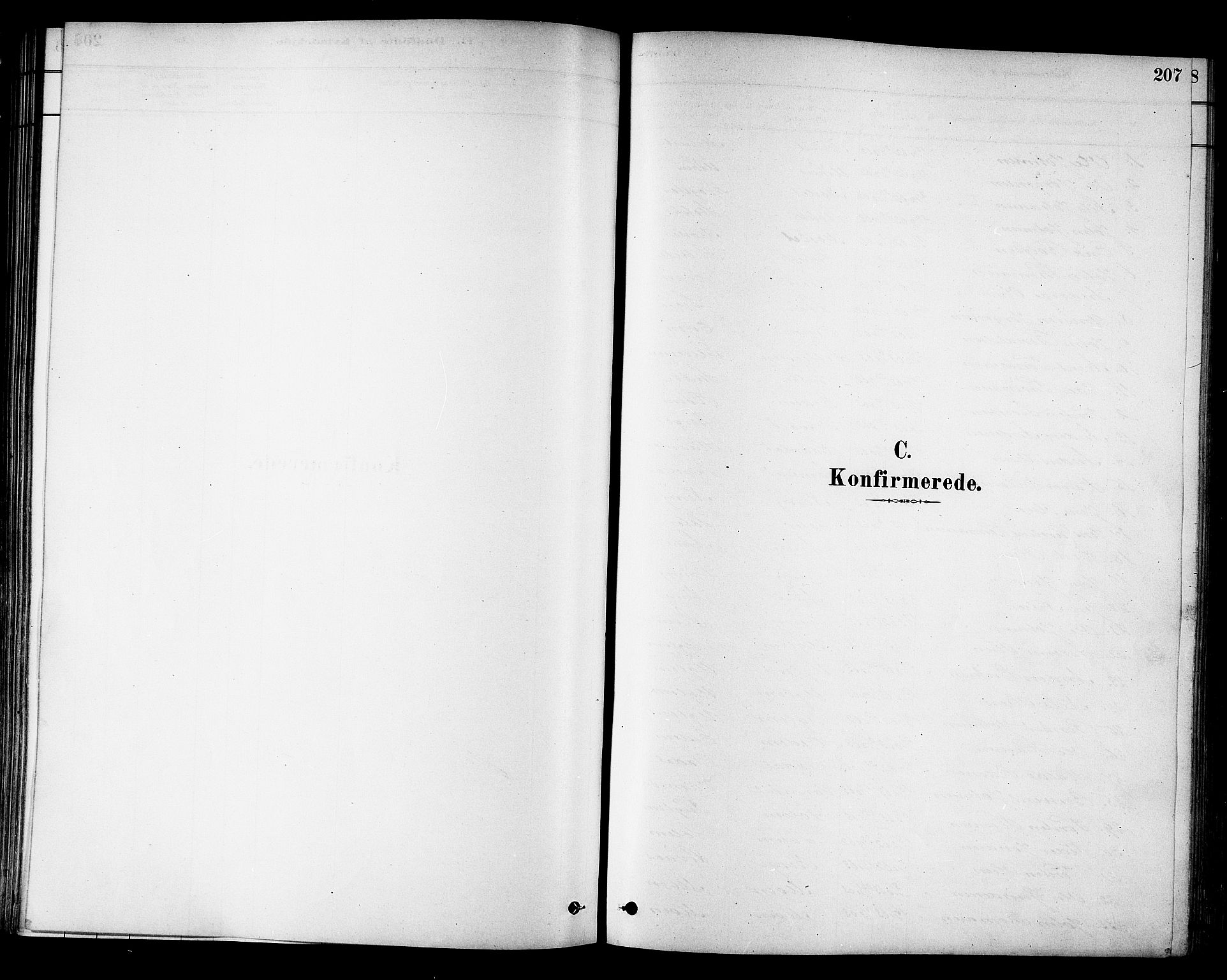 Ministerialprotokoller, klokkerbøker og fødselsregistre - Sør-Trøndelag, SAT/A-1456/695/L1148: Parish register (official) no. 695A08, 1878-1891, p. 207