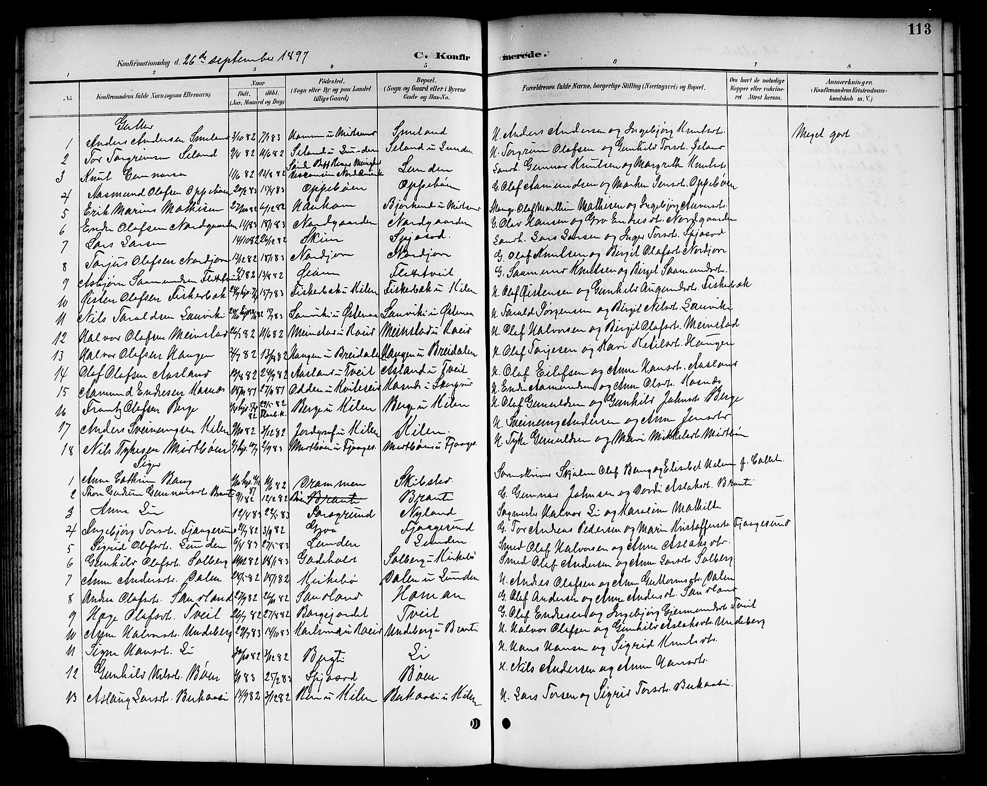 Kviteseid kirkebøker, SAKO/A-276/G/Ga/L0002: Parish register (copy) no. I 2, 1893-1918, p. 113