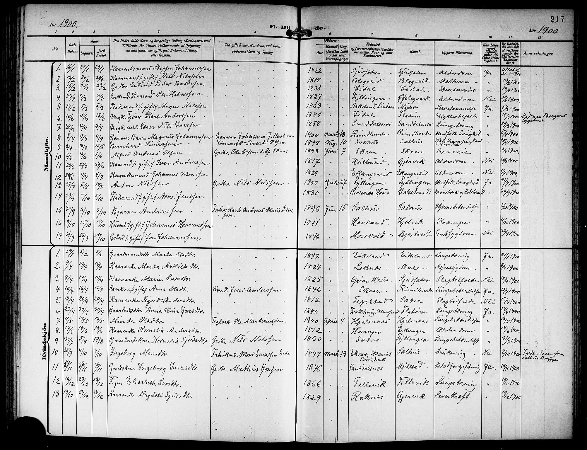 Hamre sokneprestembete, SAB/A-75501/H/Ha/Hab: Parish register (copy) no. B 4, 1898-1919, p. 217