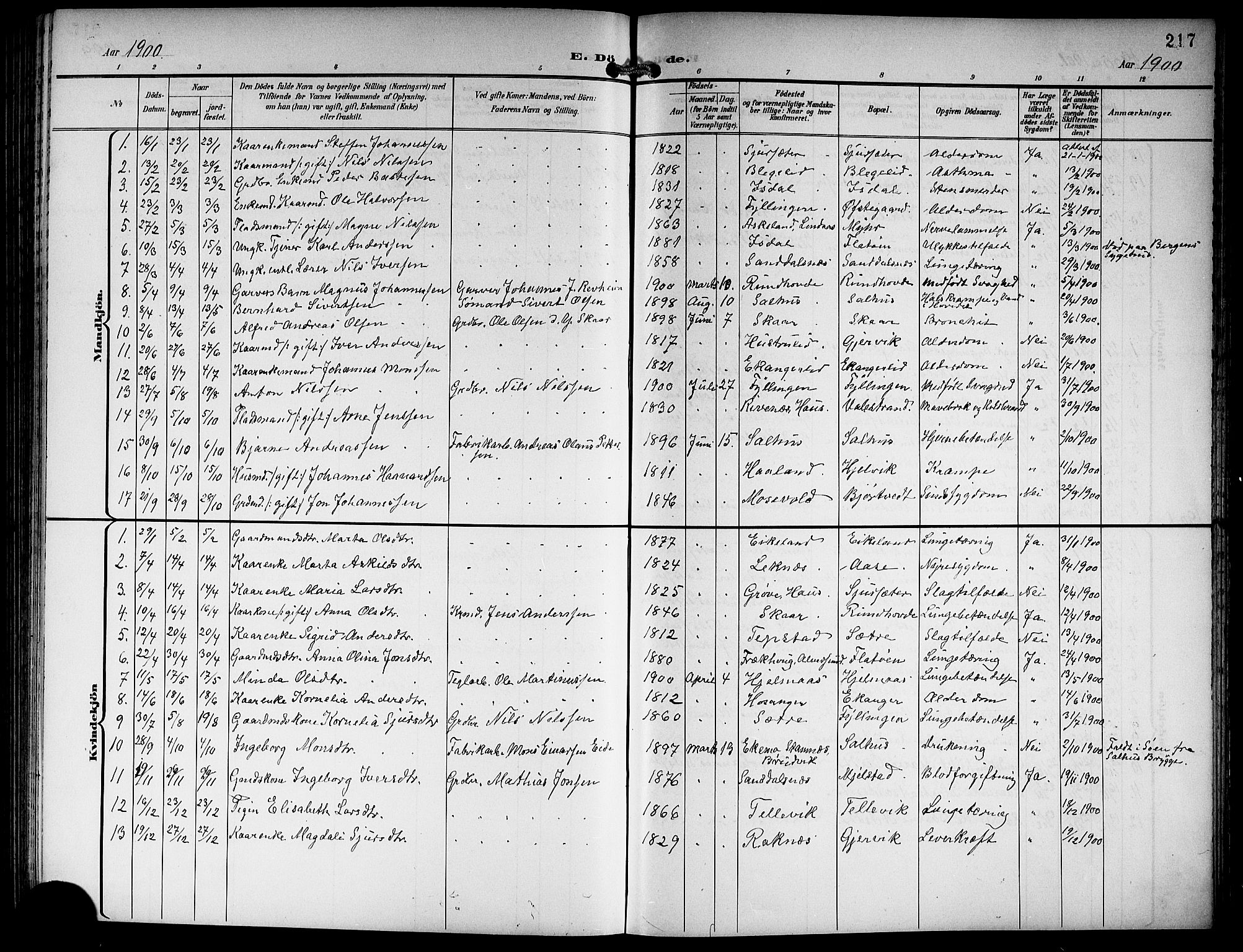 Hamre sokneprestembete, AV/SAB-A-75501/H/Ha/Hab: Parish register (copy) no. B 4, 1898-1919, p. 217
