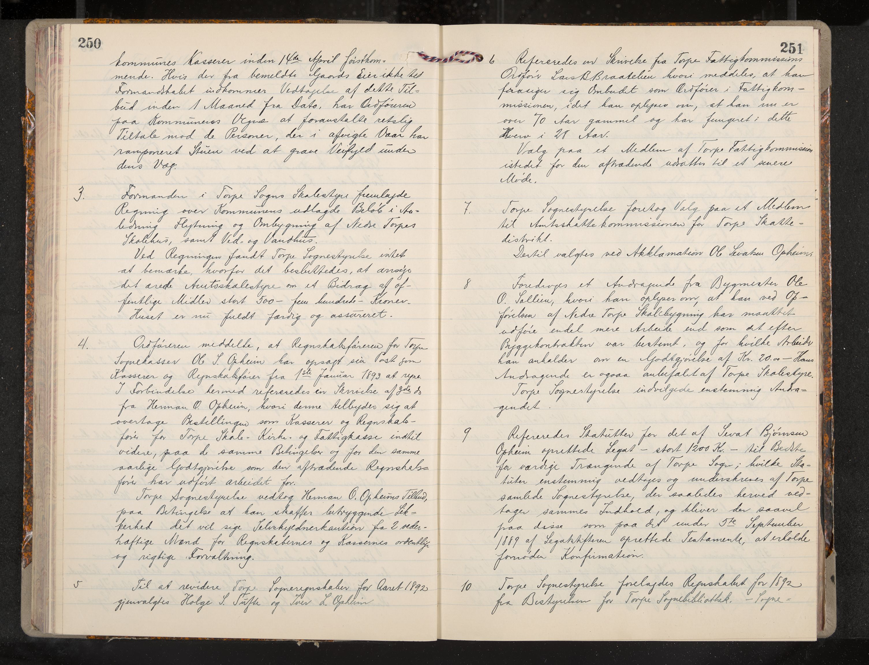 Ål formannskap og sentraladministrasjon, IKAK/0619021/A/Aa/L0004: Utskrift av møtebok, 1881-1901, p. 250-251