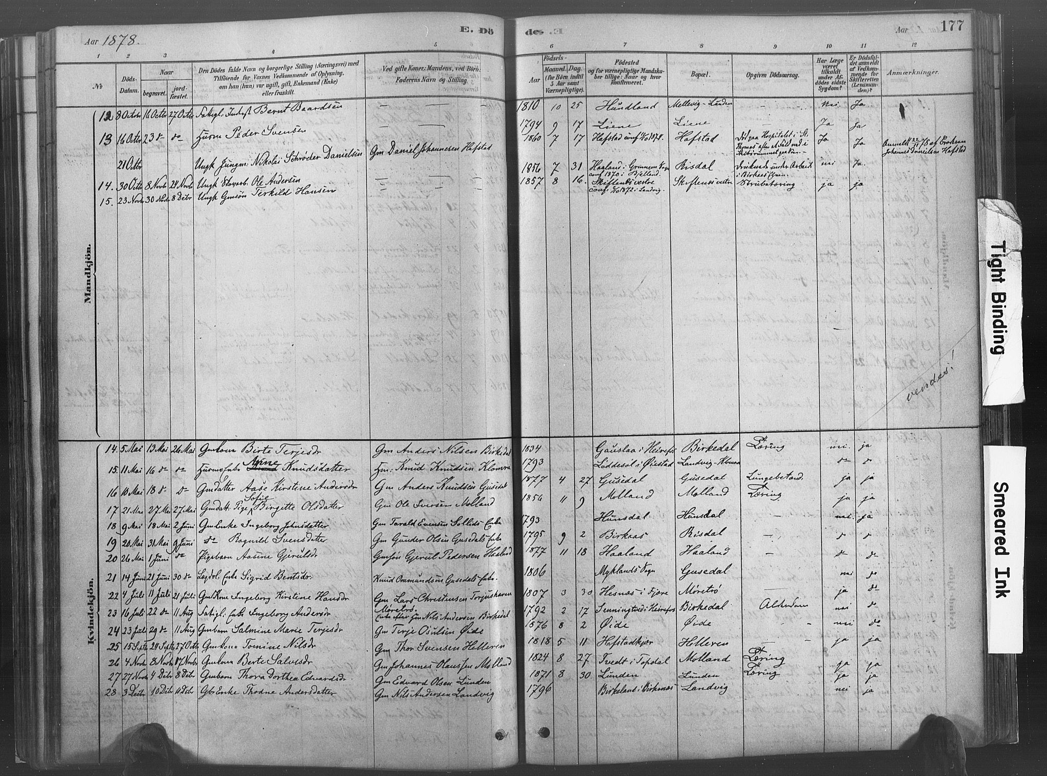 Hommedal sokneprestkontor, SAK/1111-0023/F/Fa/Fab/L0006: Parish register (official) no. A 6, 1878-1897, p. 177