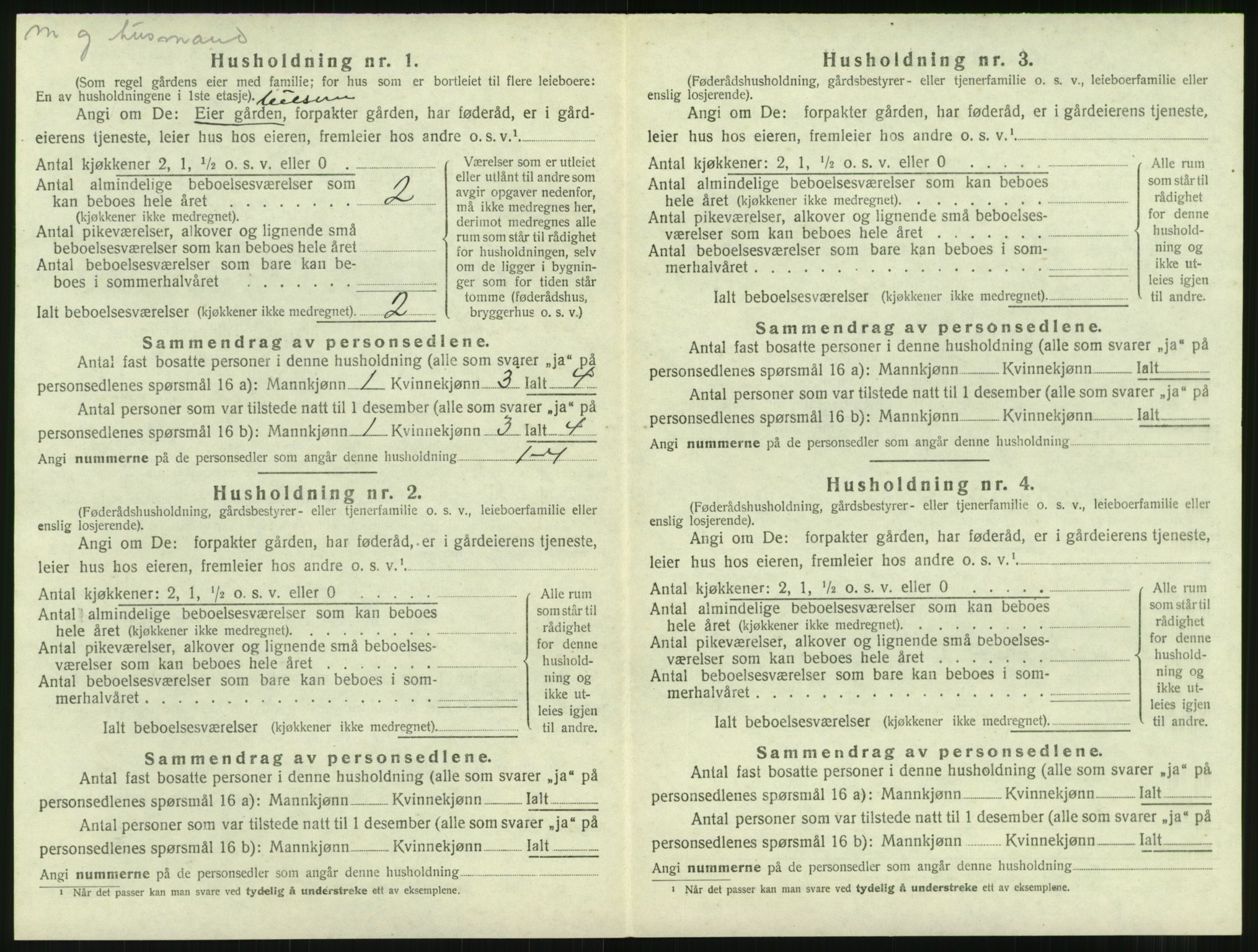 SAT, 1920 census for Nesset, 1920, p. 501