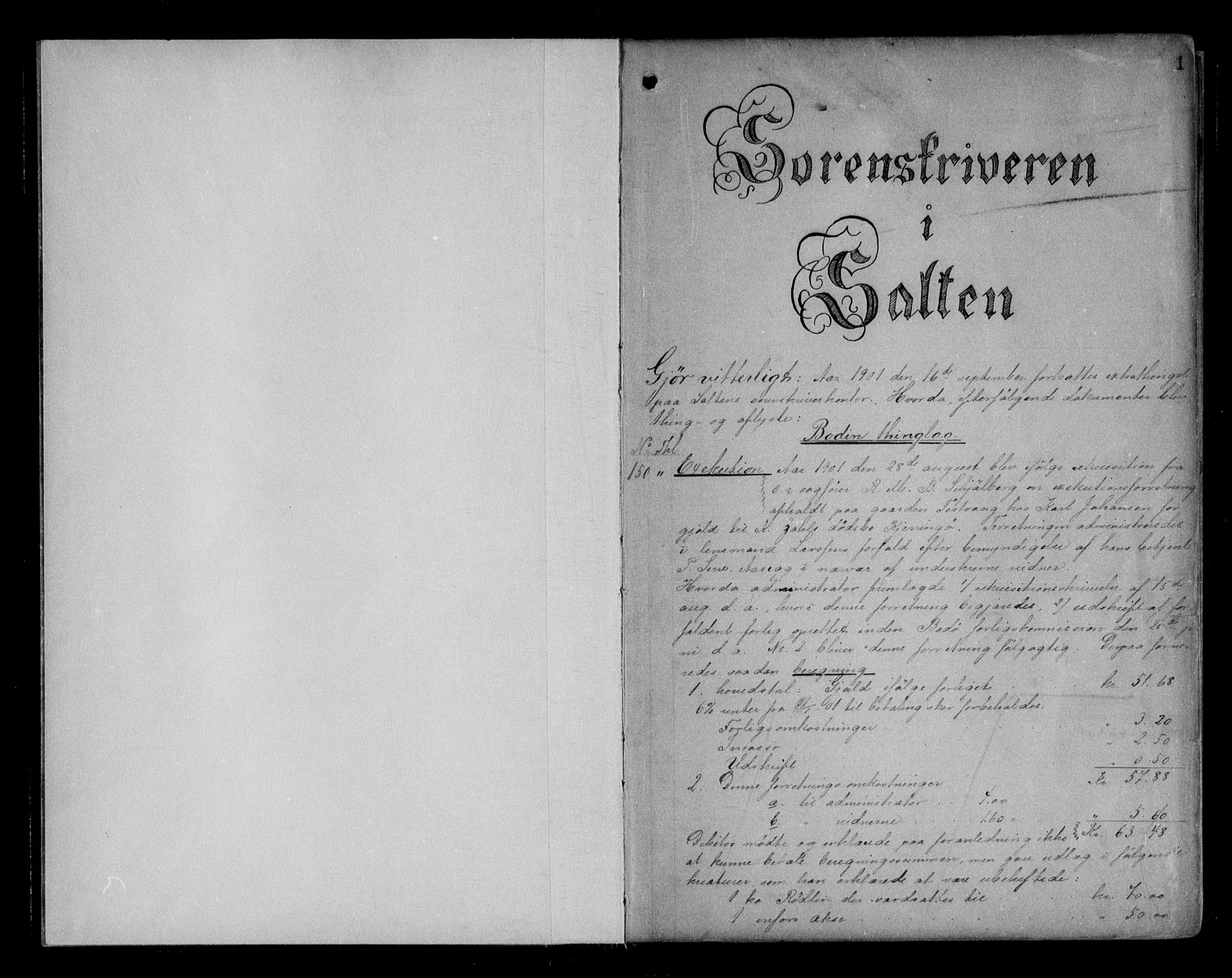 Salten sorenskriveri, AV/SAT-A-4578/1/2/2C/L0033: Mortgage book no. Aa, 1901-1903, p. 1