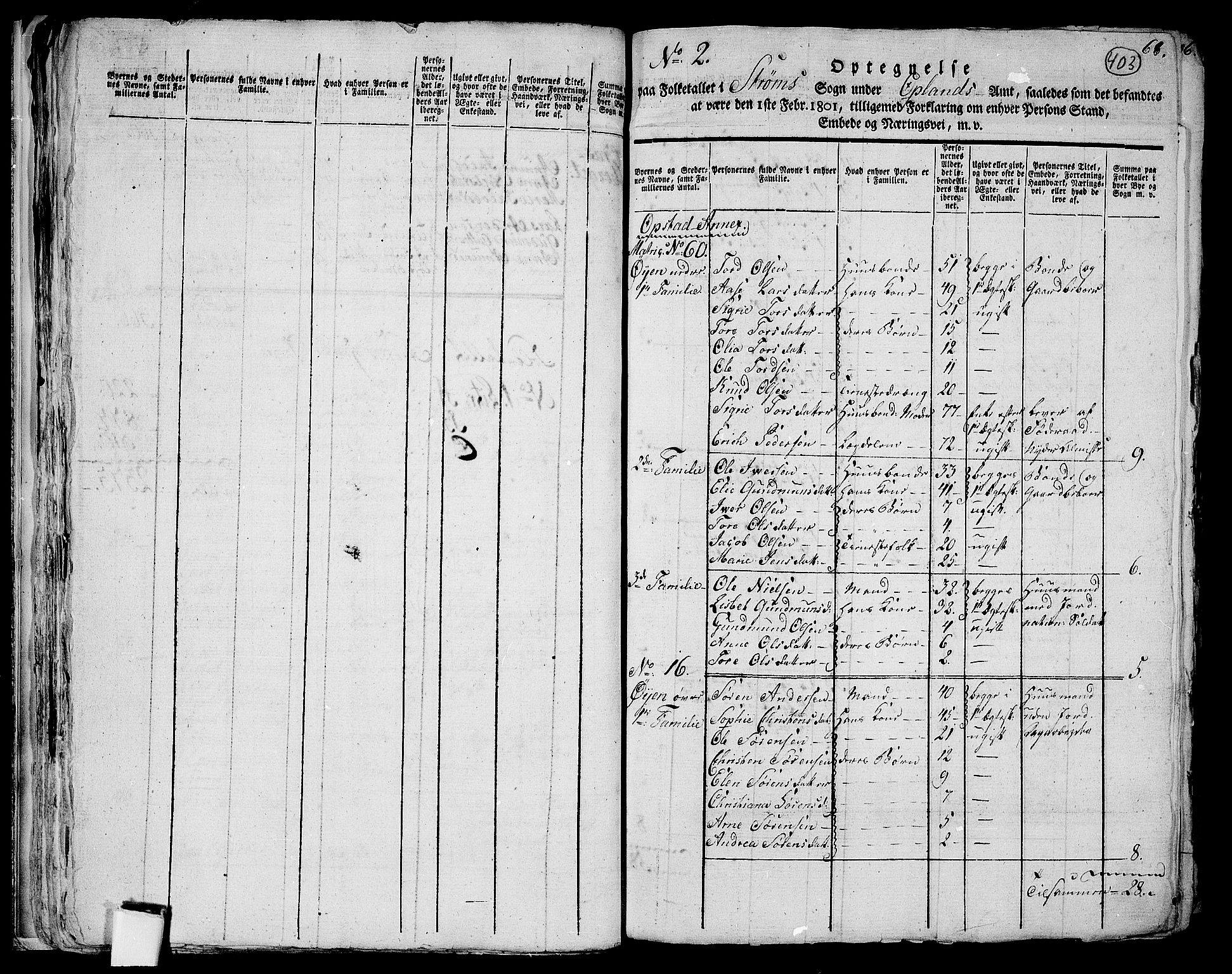 RA, 1801 census for 0419P Strøm, 1801, p. 402b-403a