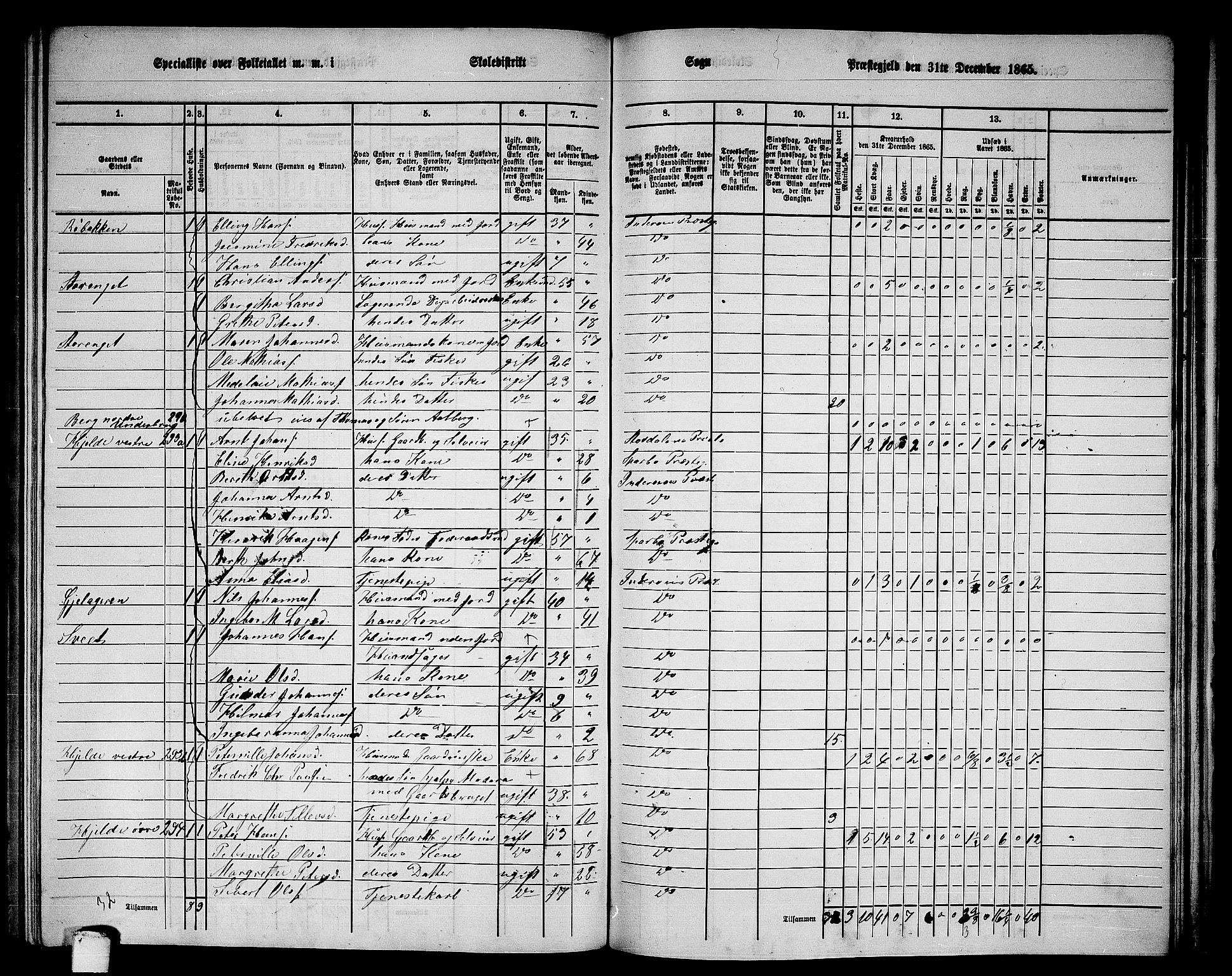 RA, 1865 census for Inderøy, 1865, p. 173