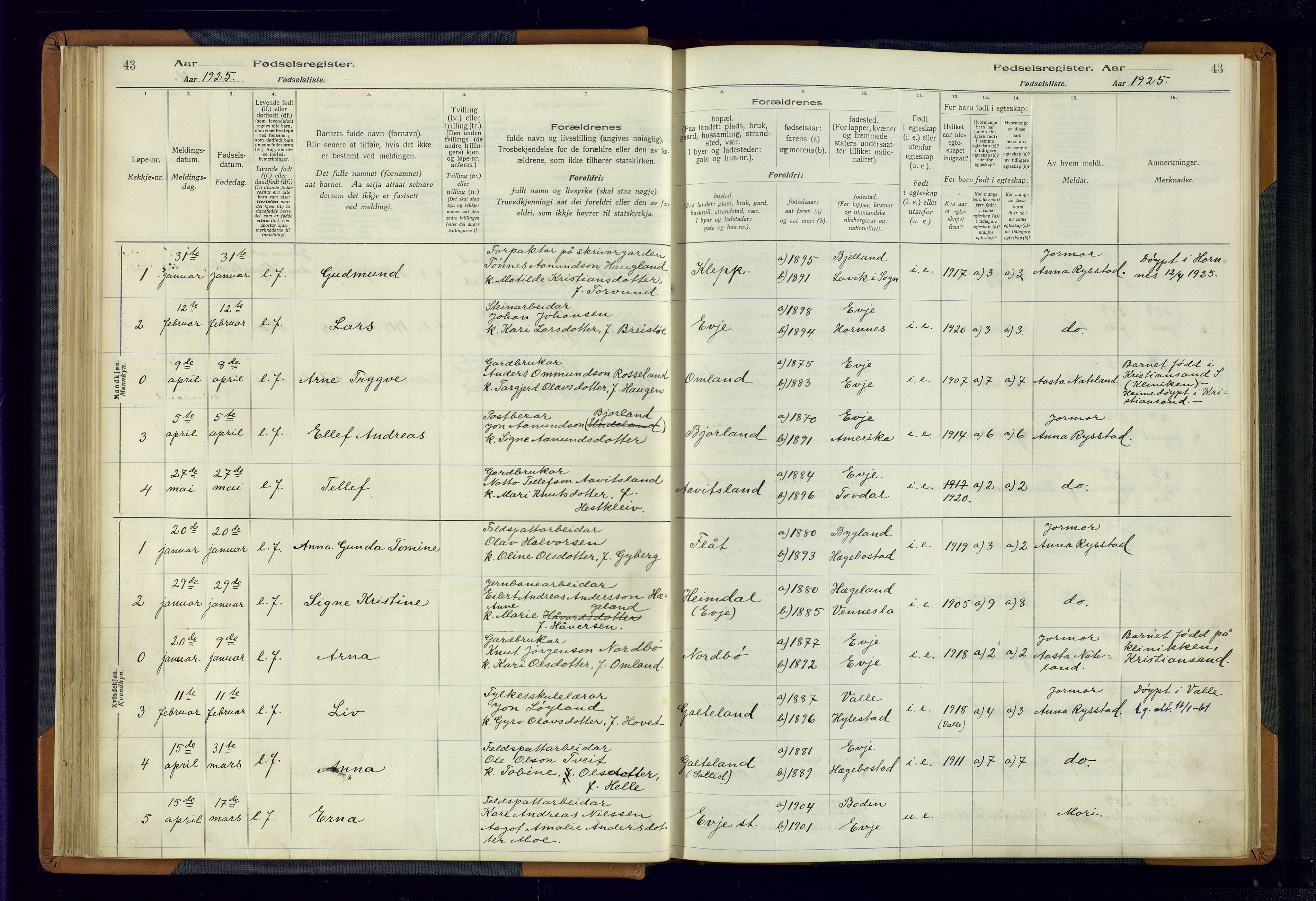Evje sokneprestkontor, SAK/1111-0008/J/Jc/L0004: Birth register no. 4, 1916-1968, p. 43