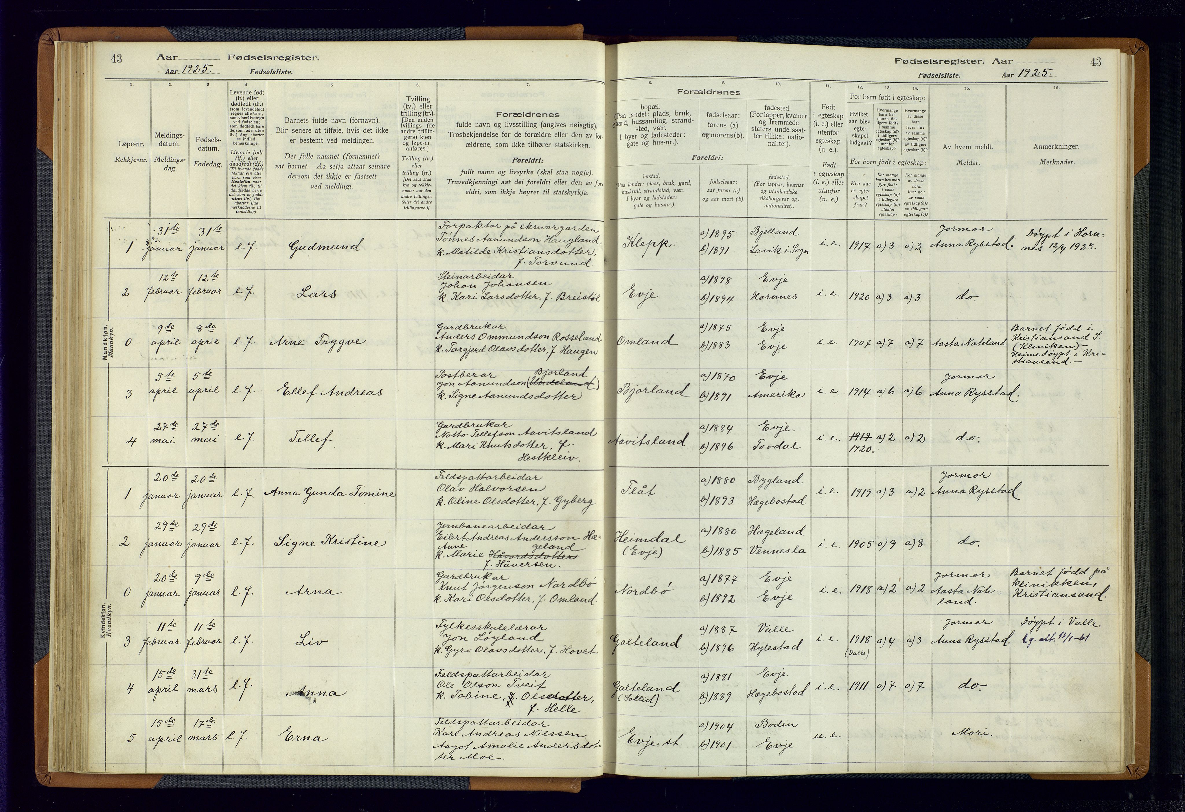 Evje sokneprestkontor, AV/SAK-1111-0008/J/Jc/L0004: Birth register no. 4, 1916-1968, p. 43