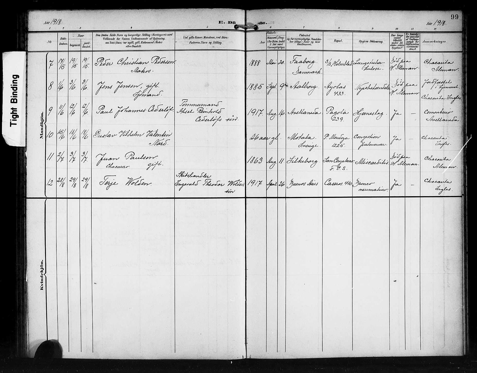 Den norske sjømannsmisjon i utlandet/Syd-Amerika (Buenos Aires m.fl.), AV/SAB-SAB/PA-0118/H/Ha/L0002: Parish register (official) no. A 2, 1899-1919, p. 99