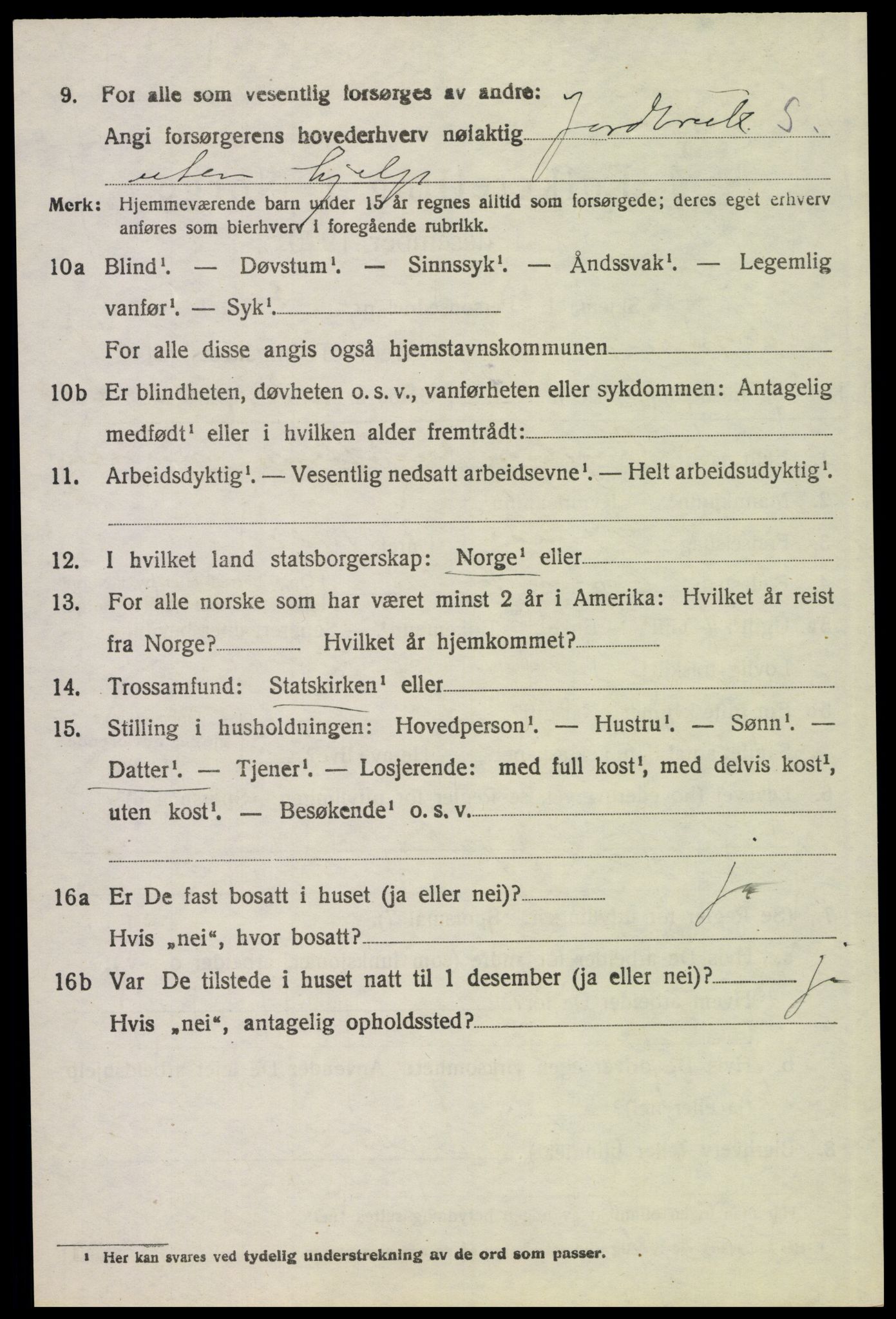 SAH, 1920 census for Tynset, 1920, p. 9047