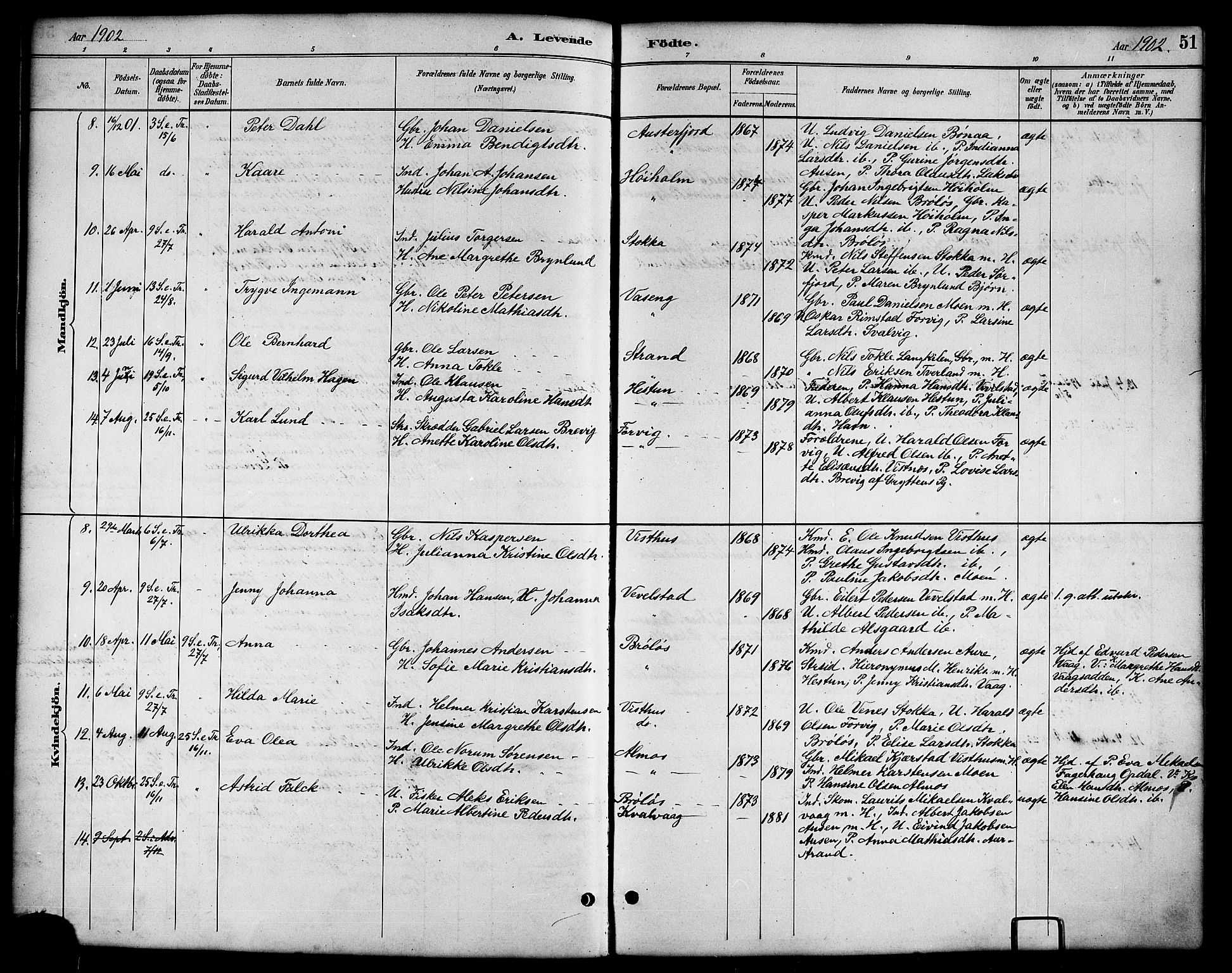 Ministerialprotokoller, klokkerbøker og fødselsregistre - Nordland, AV/SAT-A-1459/819/L0277: Parish register (copy) no. 819C03, 1888-1917, p. 51