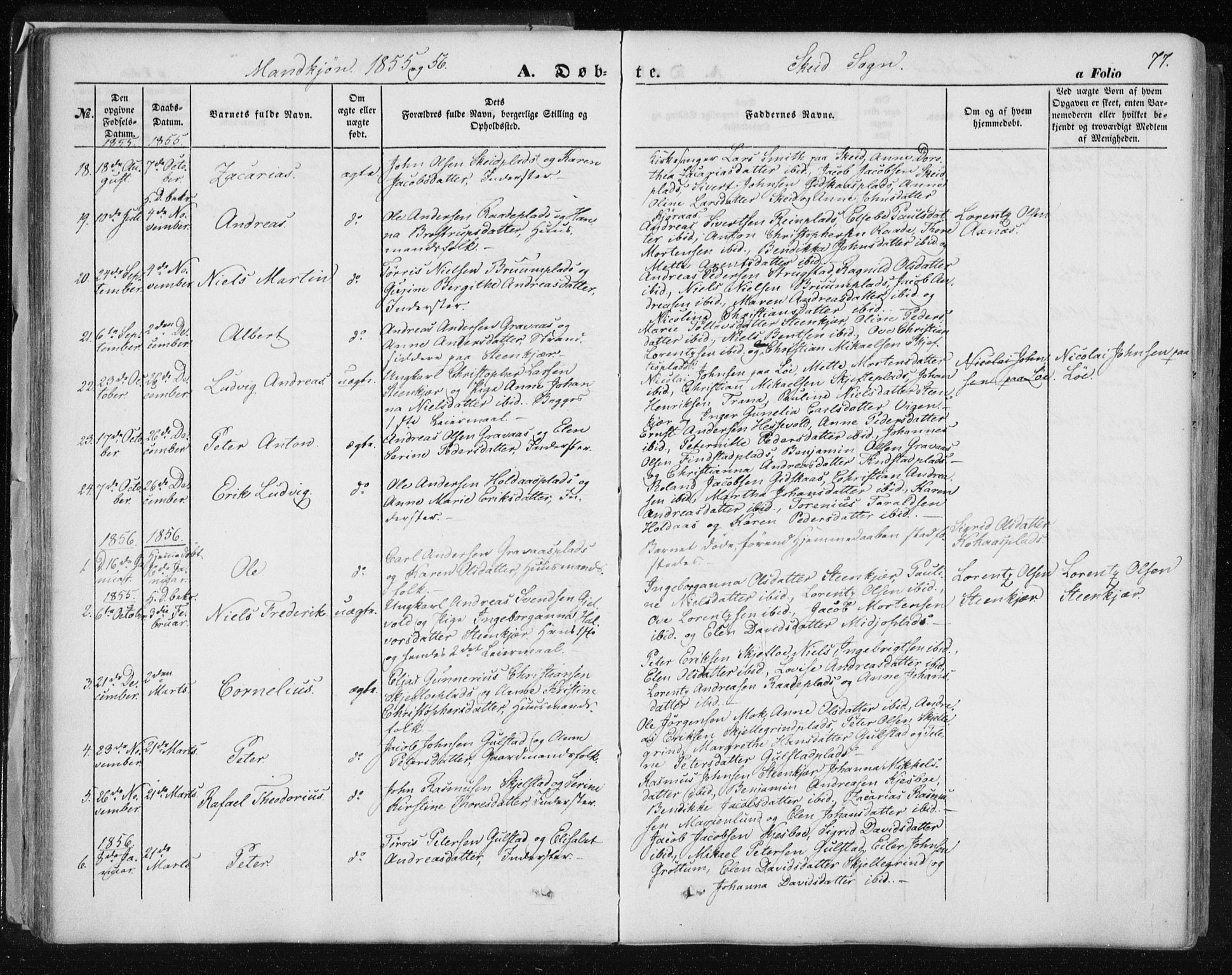 Ministerialprotokoller, klokkerbøker og fødselsregistre - Nord-Trøndelag, SAT/A-1458/735/L0342: Parish register (official) no. 735A07 /2, 1849-1862, p. 77