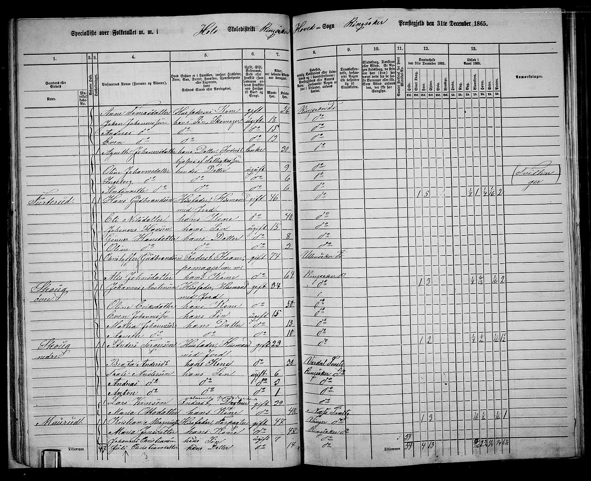 RA, 1865 census for Ringsaker, 1865, p. 44