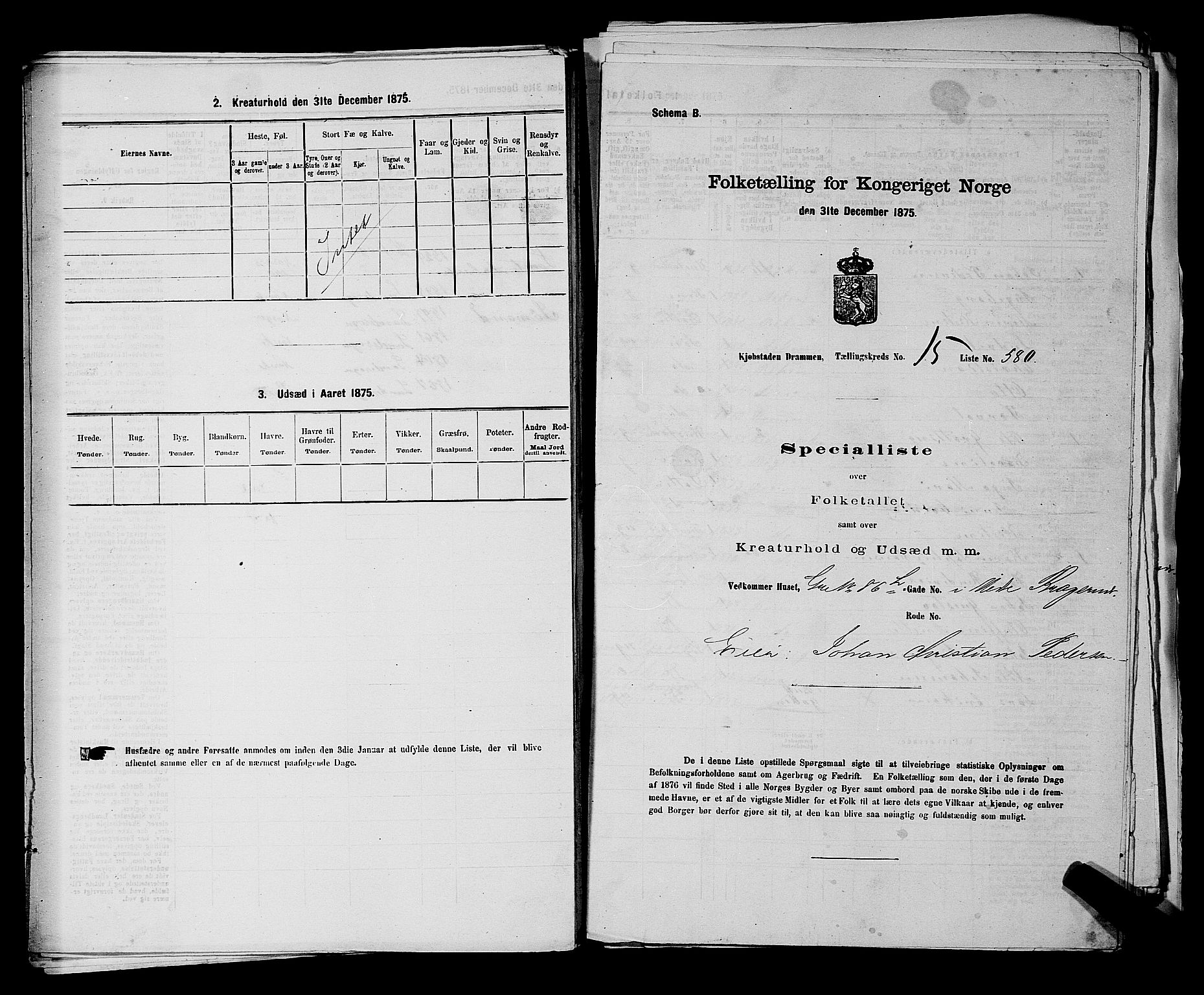 SAKO, 1875 census for 0602 Drammen, 1875, p. 1711