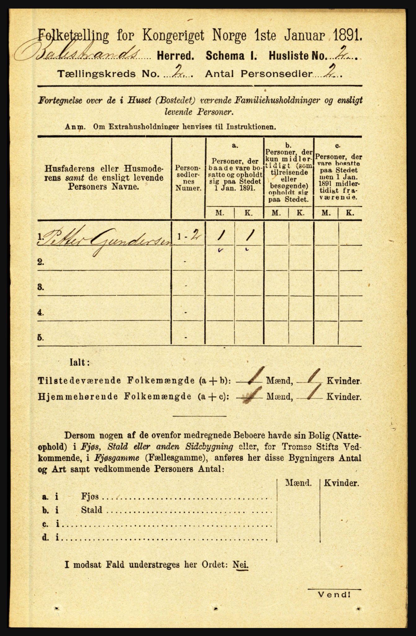 RA, 1891 census for 1418 Balestrand, 1891, p. 223